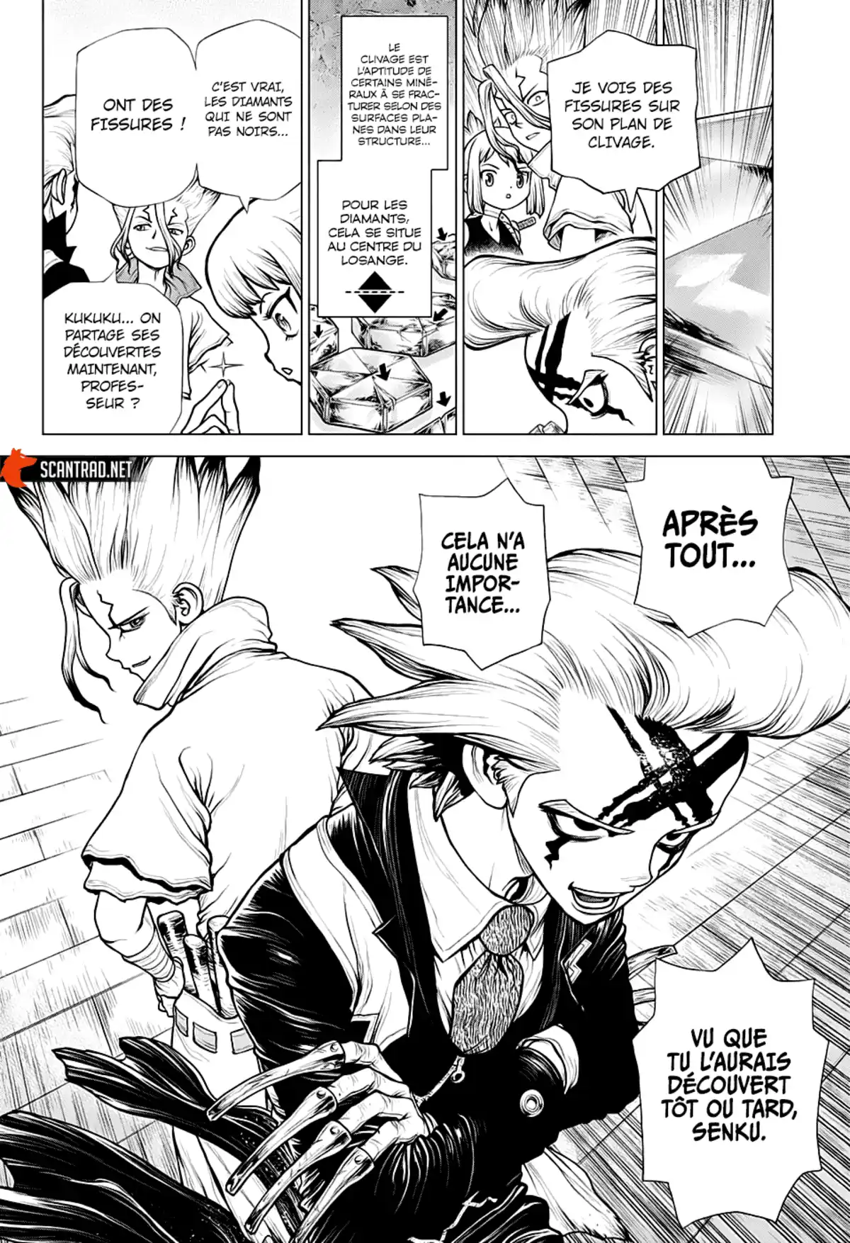 Dr. STONE Chapitre 182 page 7