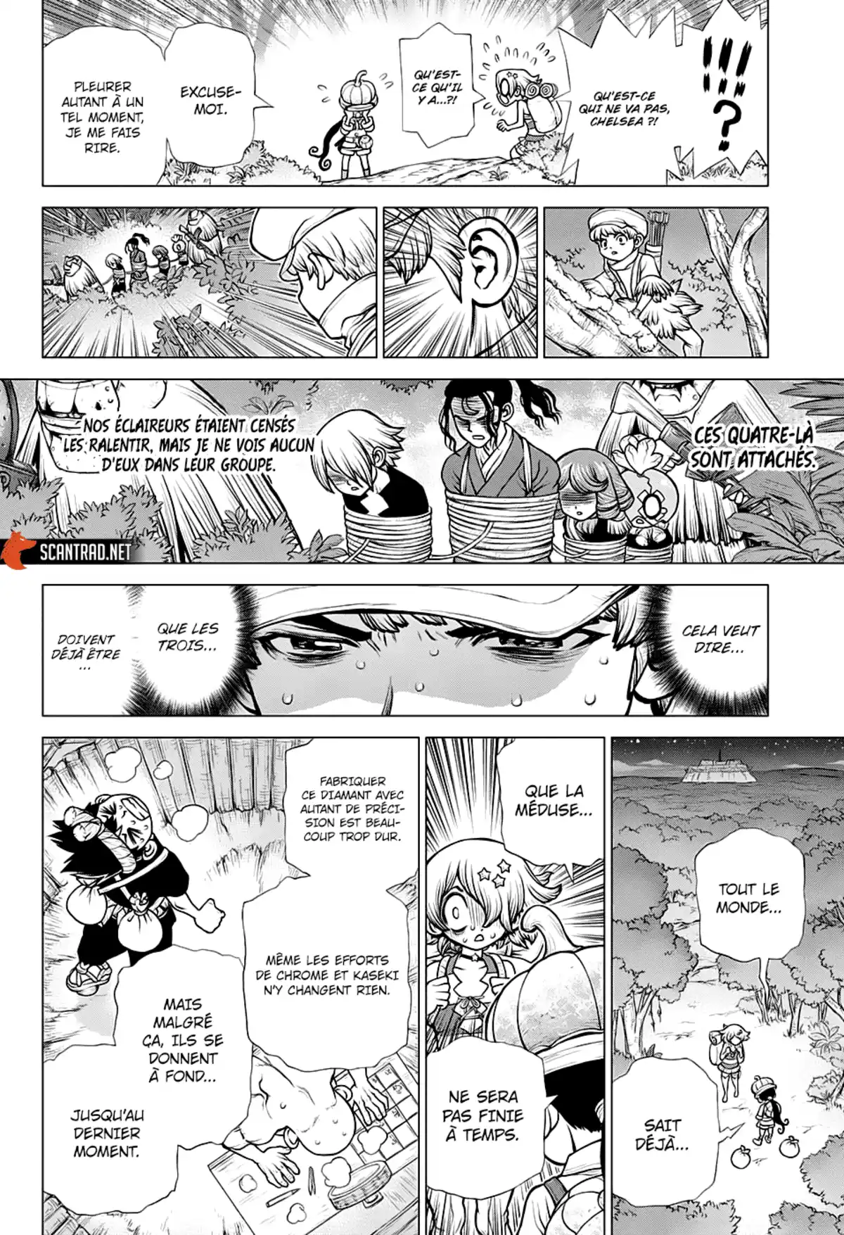 Dr. STONE Chapitre 189 page 10