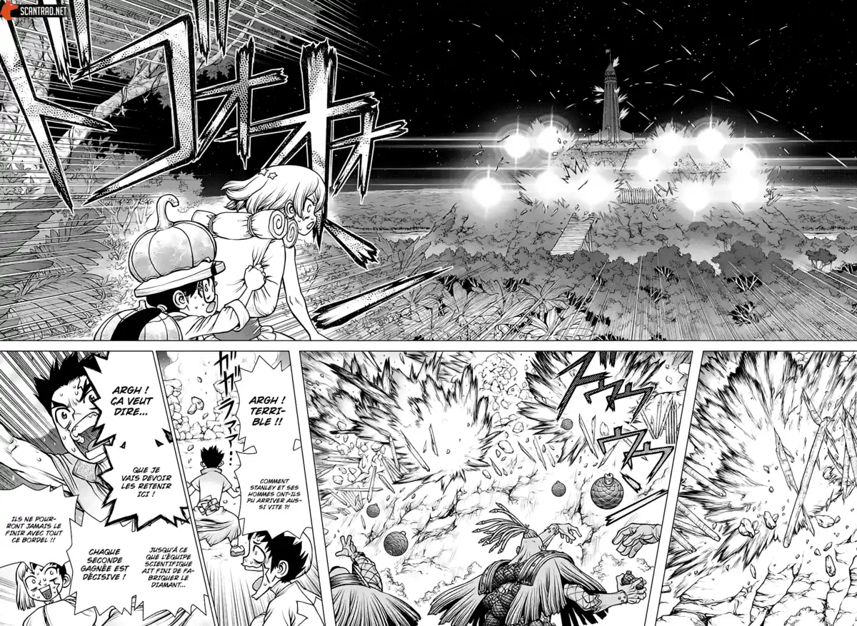 Dr. STONE Chapitre 189 page 12