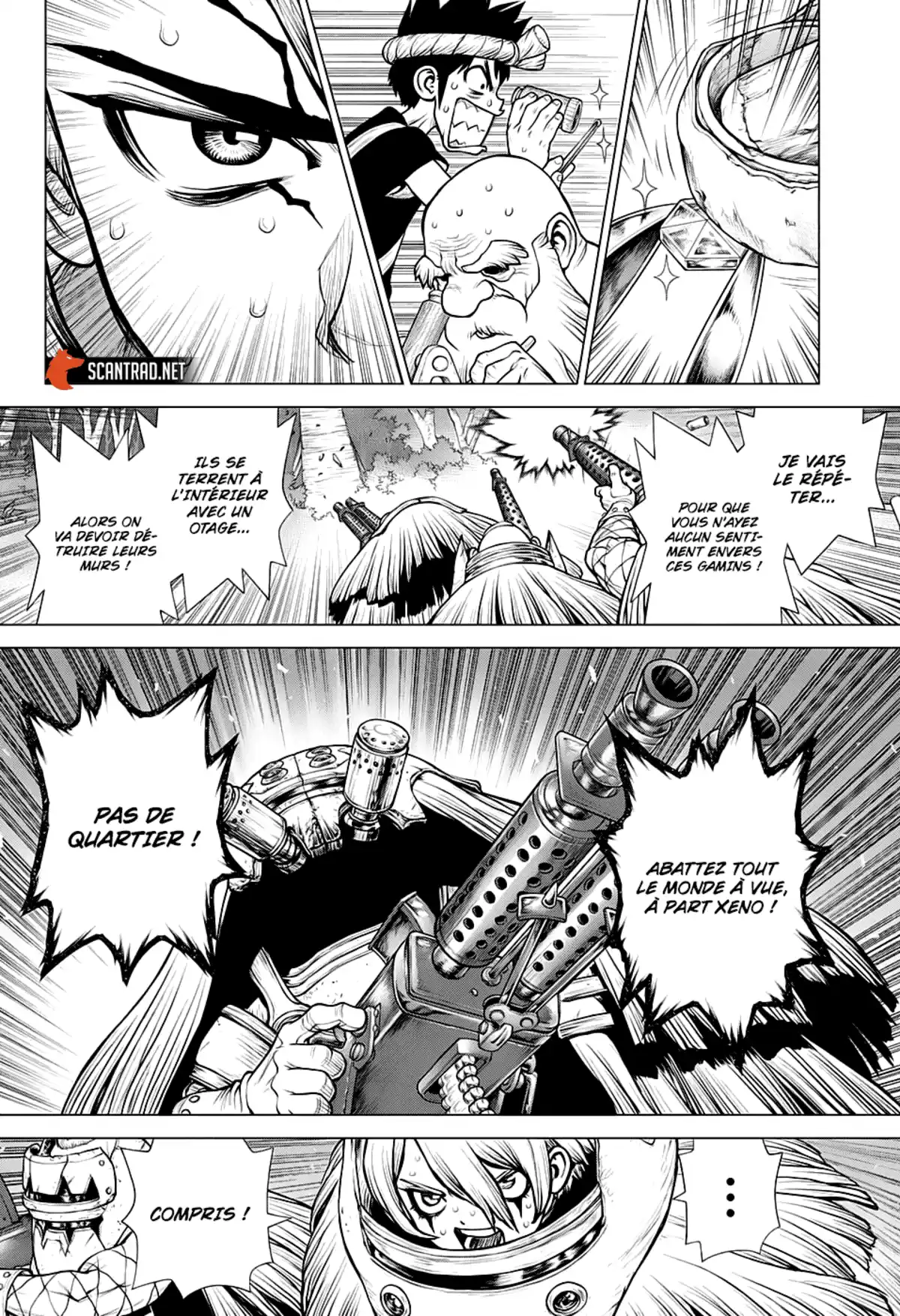 Dr. STONE Chapitre 189 page 13