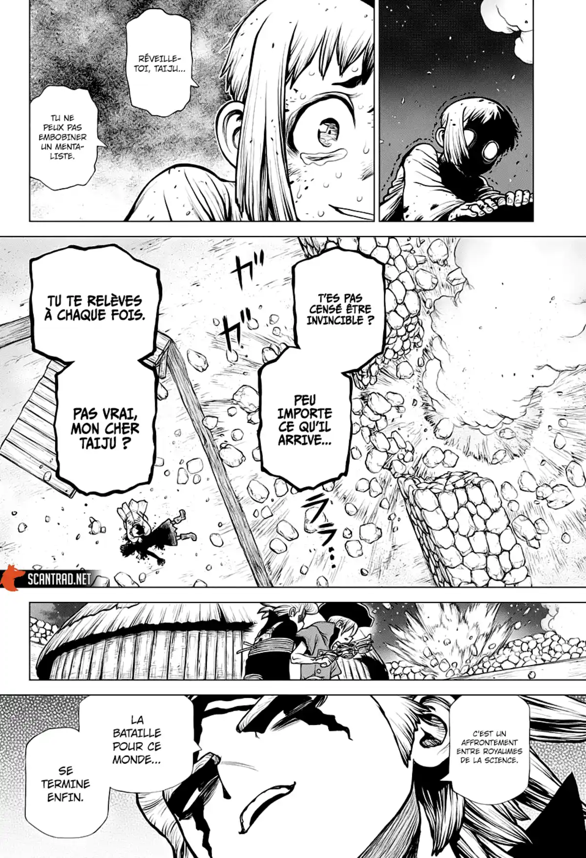 Dr. STONE Chapitre 189 page 15