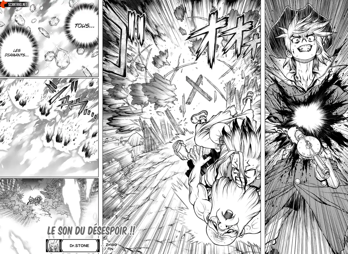 Dr. STONE Chapitre 189 page 19