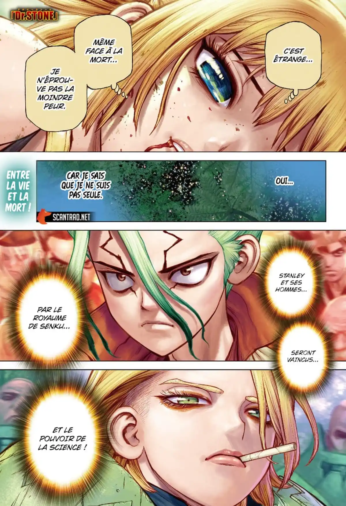 Dr. STONE Chapitre 189 page 2