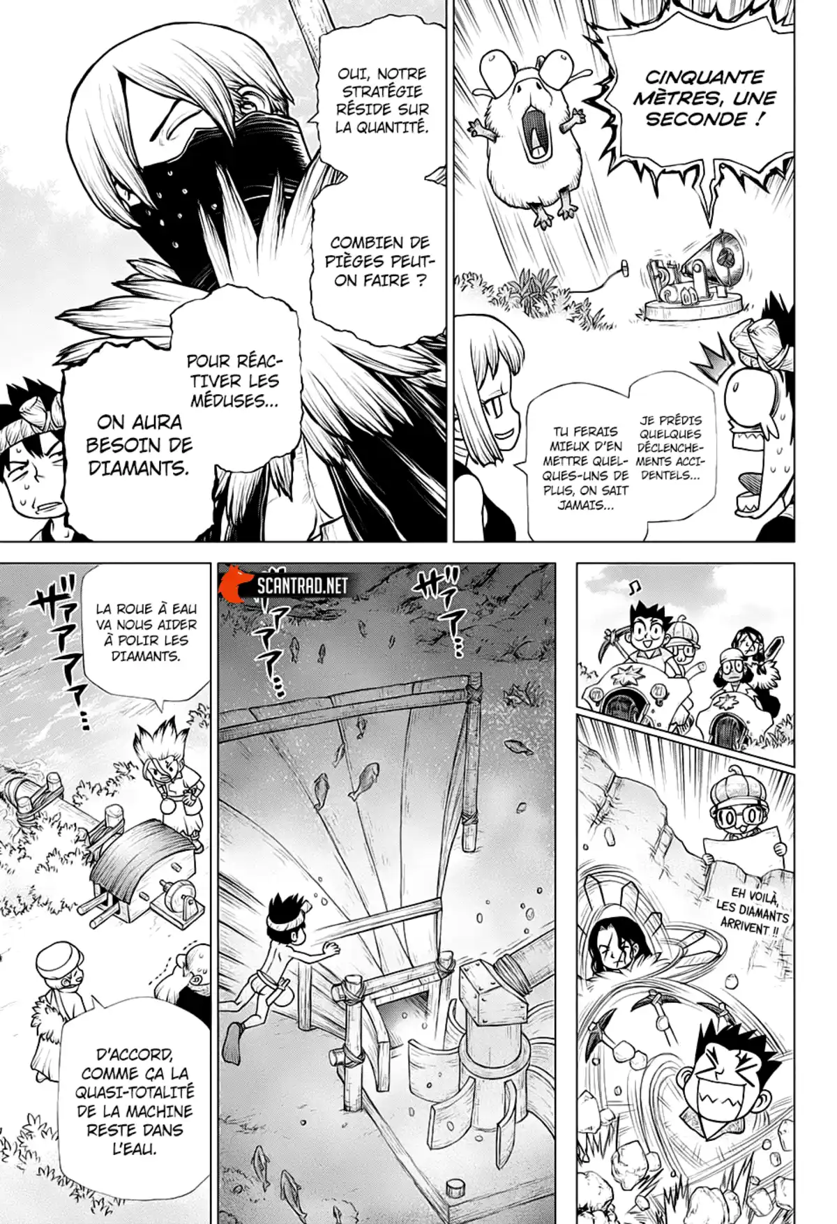 Dr. STONE Chapitre 184 page 11