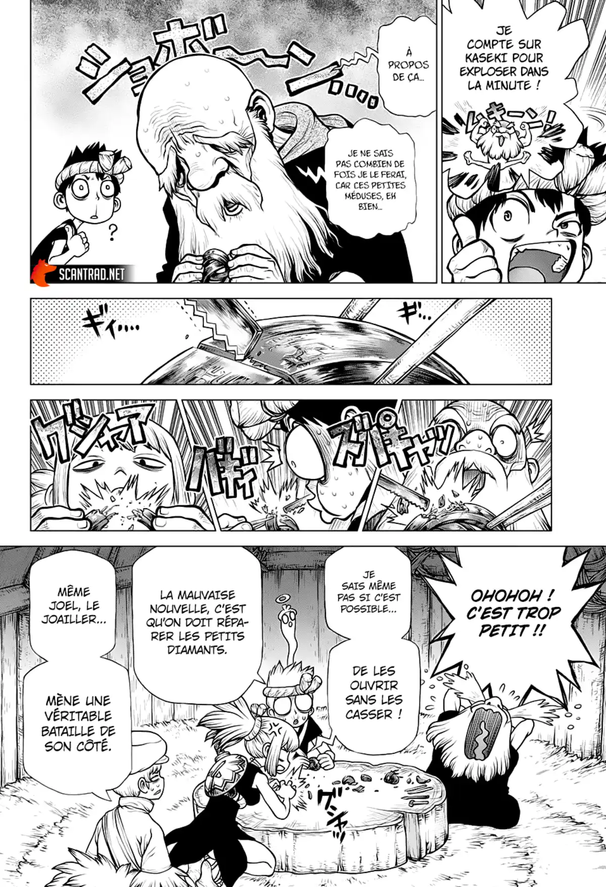 Dr. STONE Chapitre 184 page 12