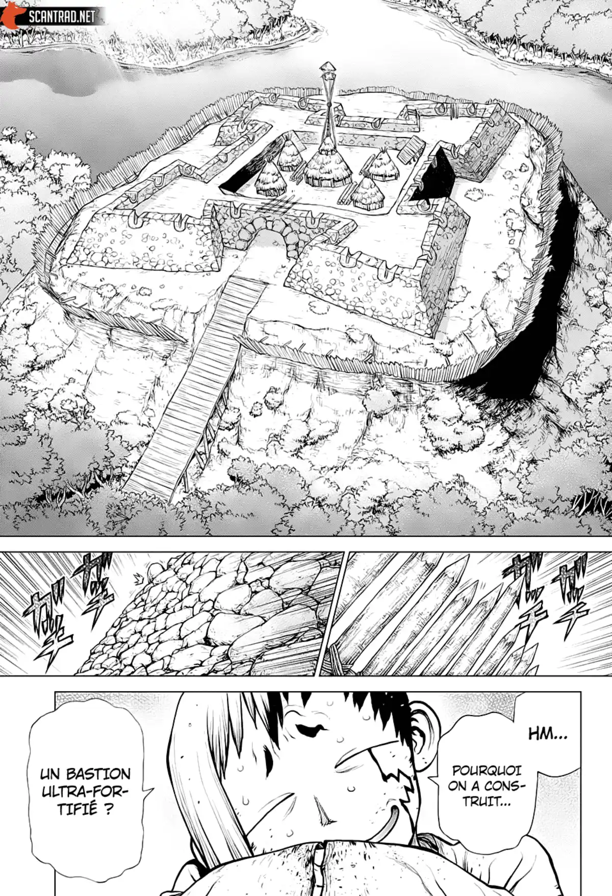 Dr. STONE Chapitre 184 page 5