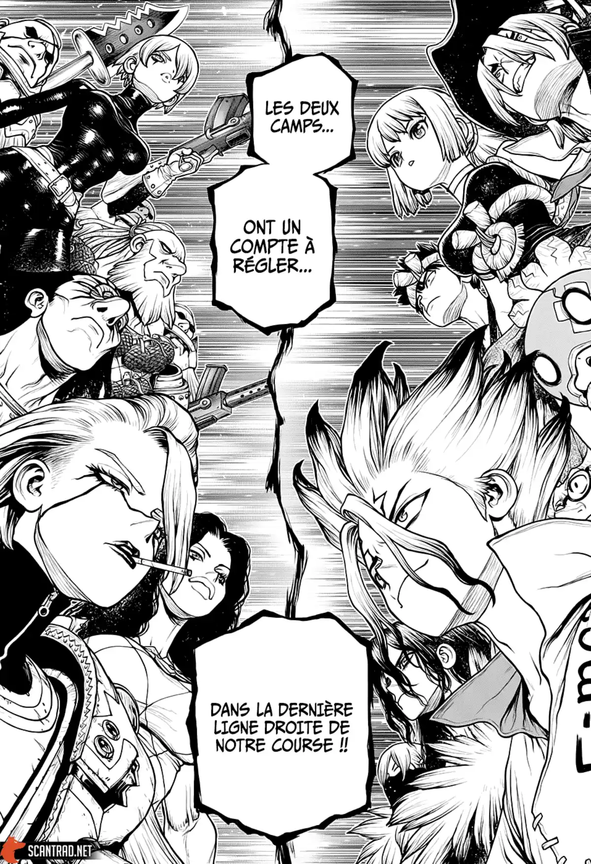 Dr. STONE Chapitre 184 page 8