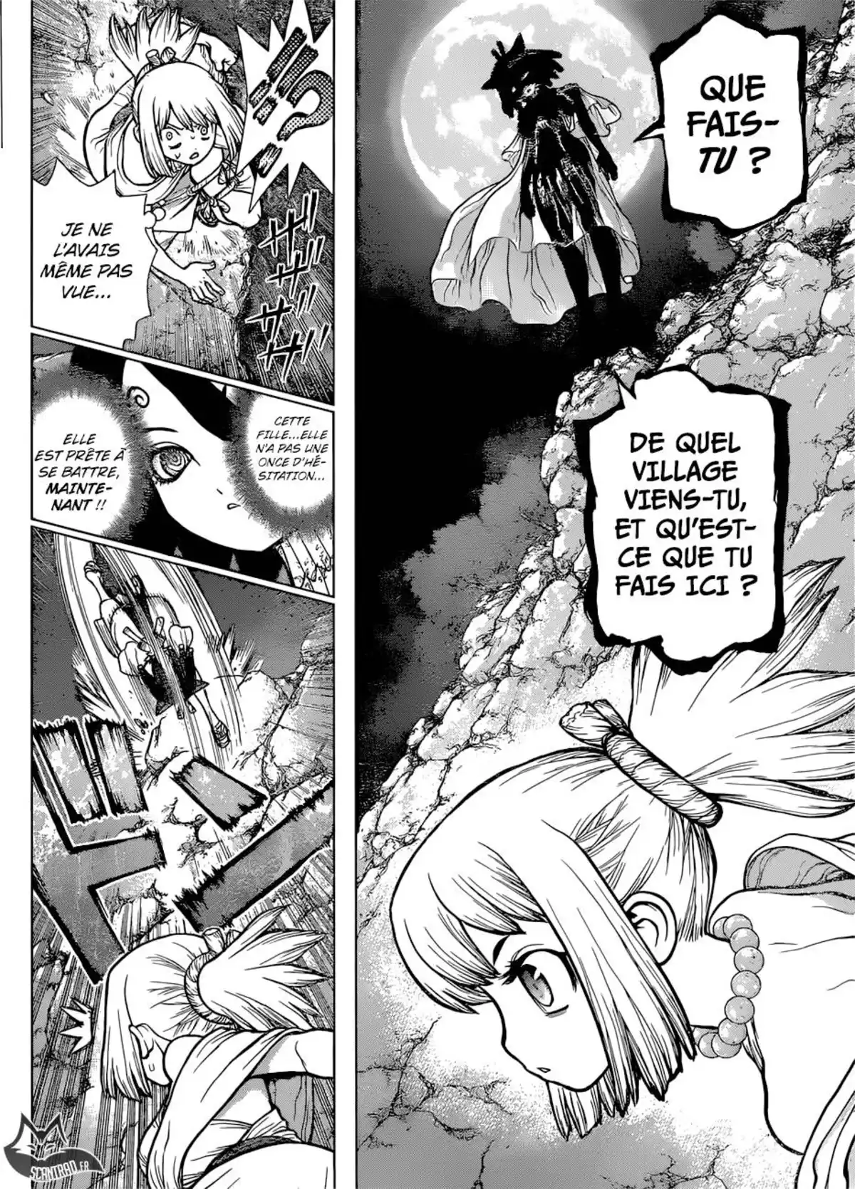 Dr. STONE Volume 13 page 11