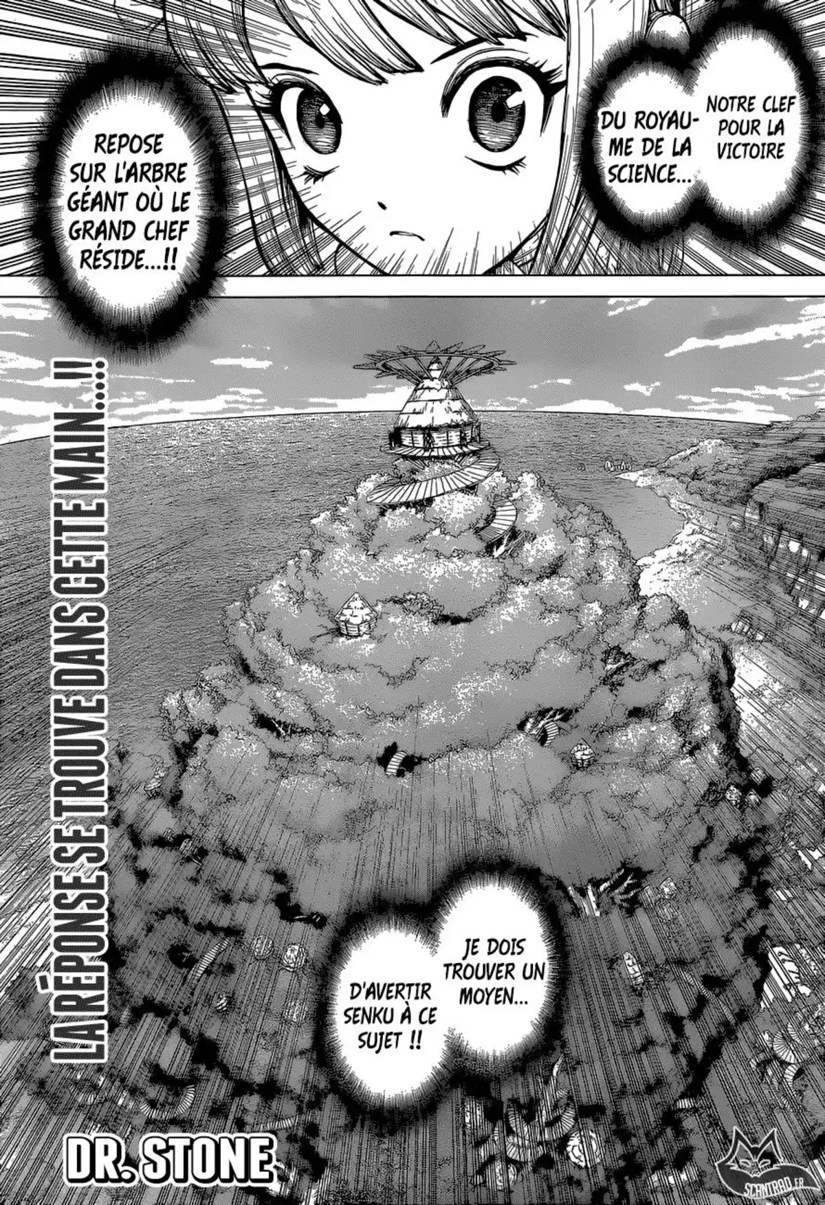 Dr. STONE Volume 13 page 119