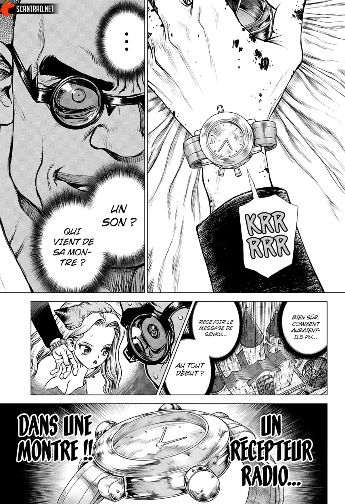 Dr. STONE Chapitre 191 page 14