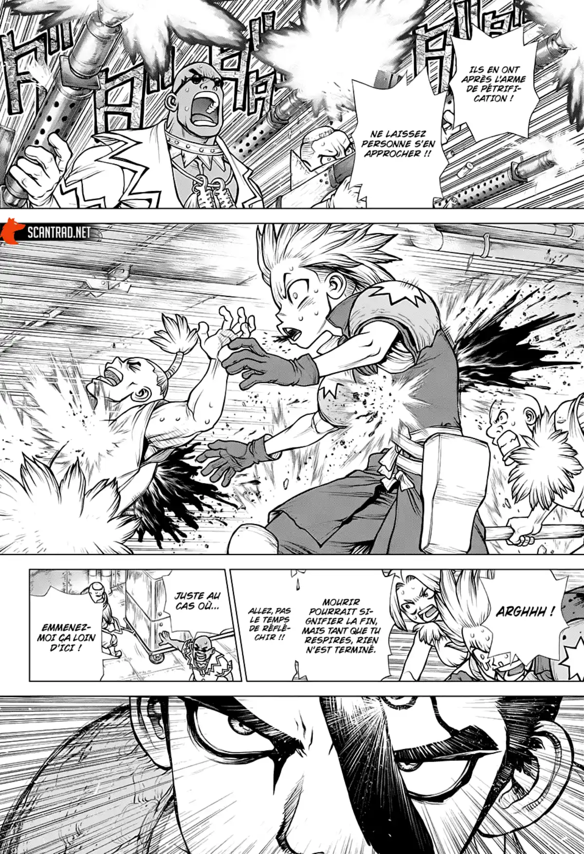 Dr. STONE Chapitre 191 page 5