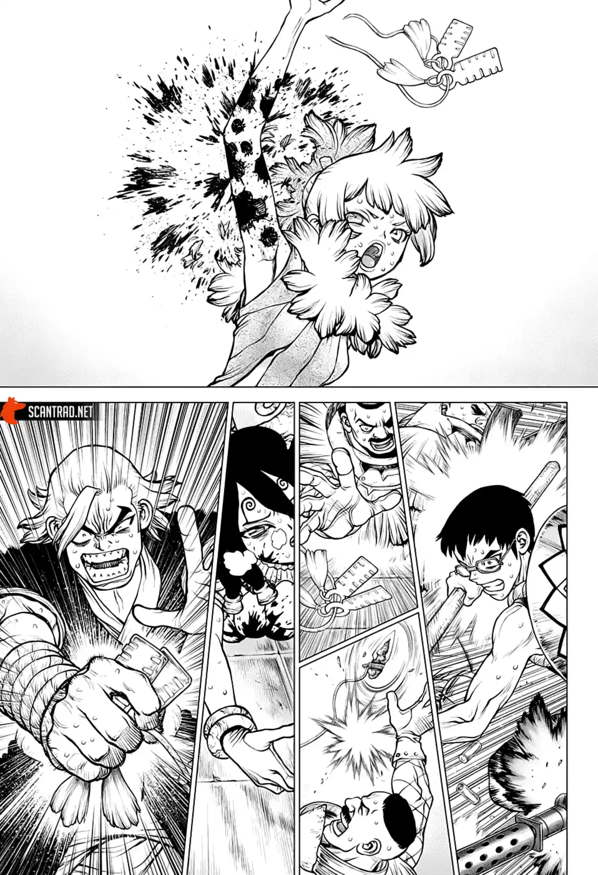 Dr. STONE Chapitre 191 page 8