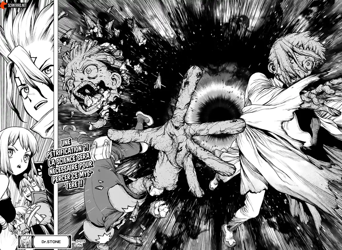 Dr. STONE Chapitre 213 page 18