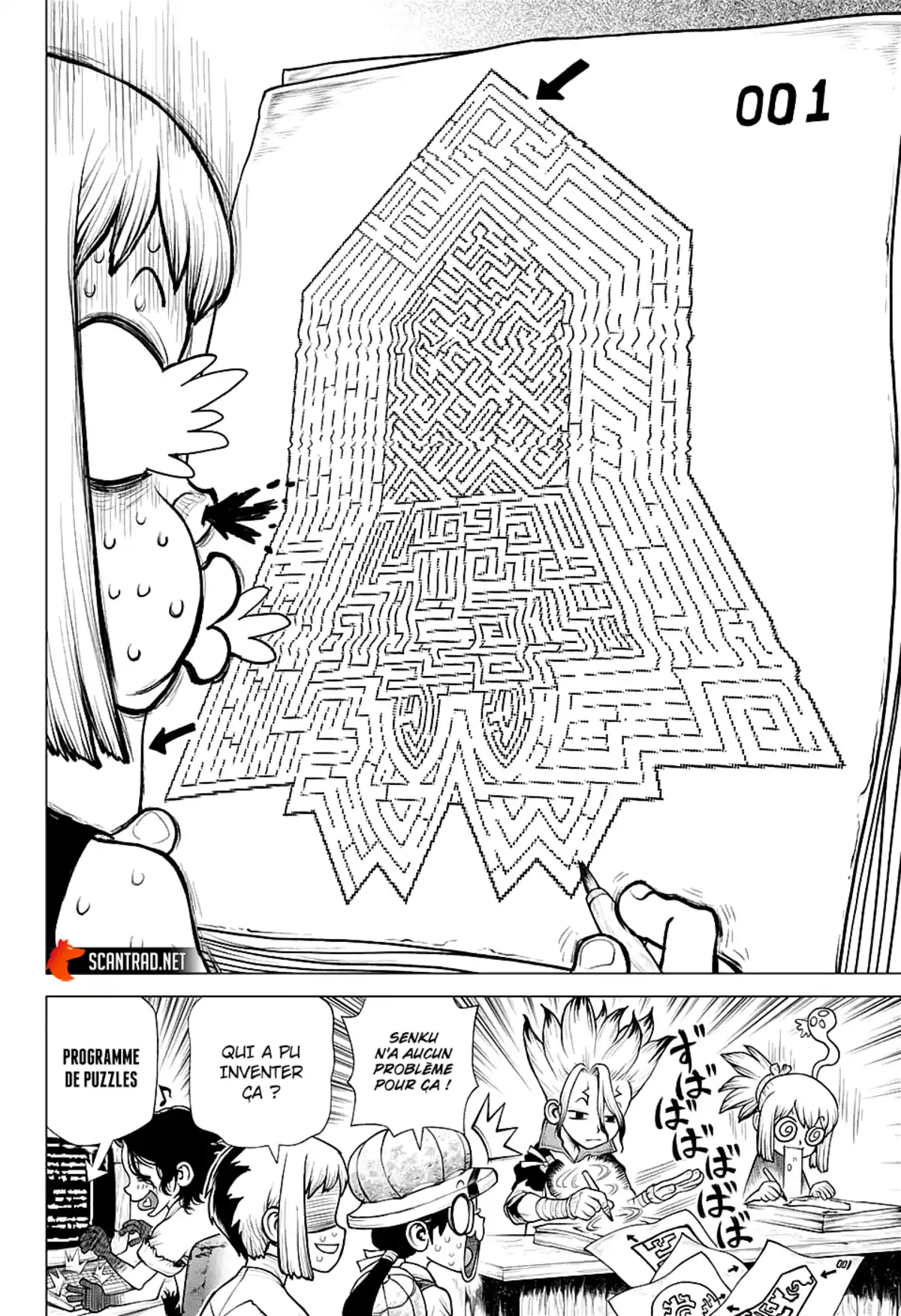 Dr. STONE Chapitre 219 page 10