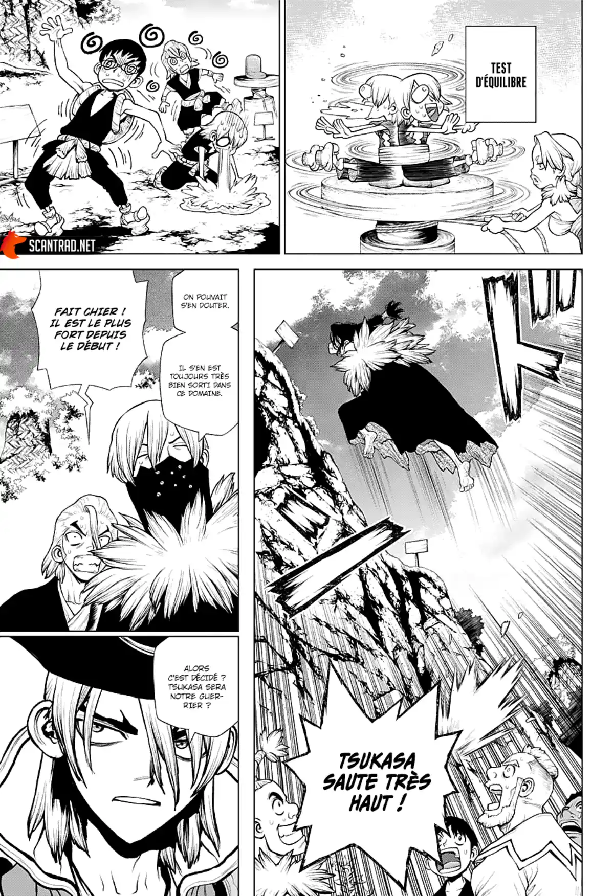 Dr. STONE Chapitre 219 page 11