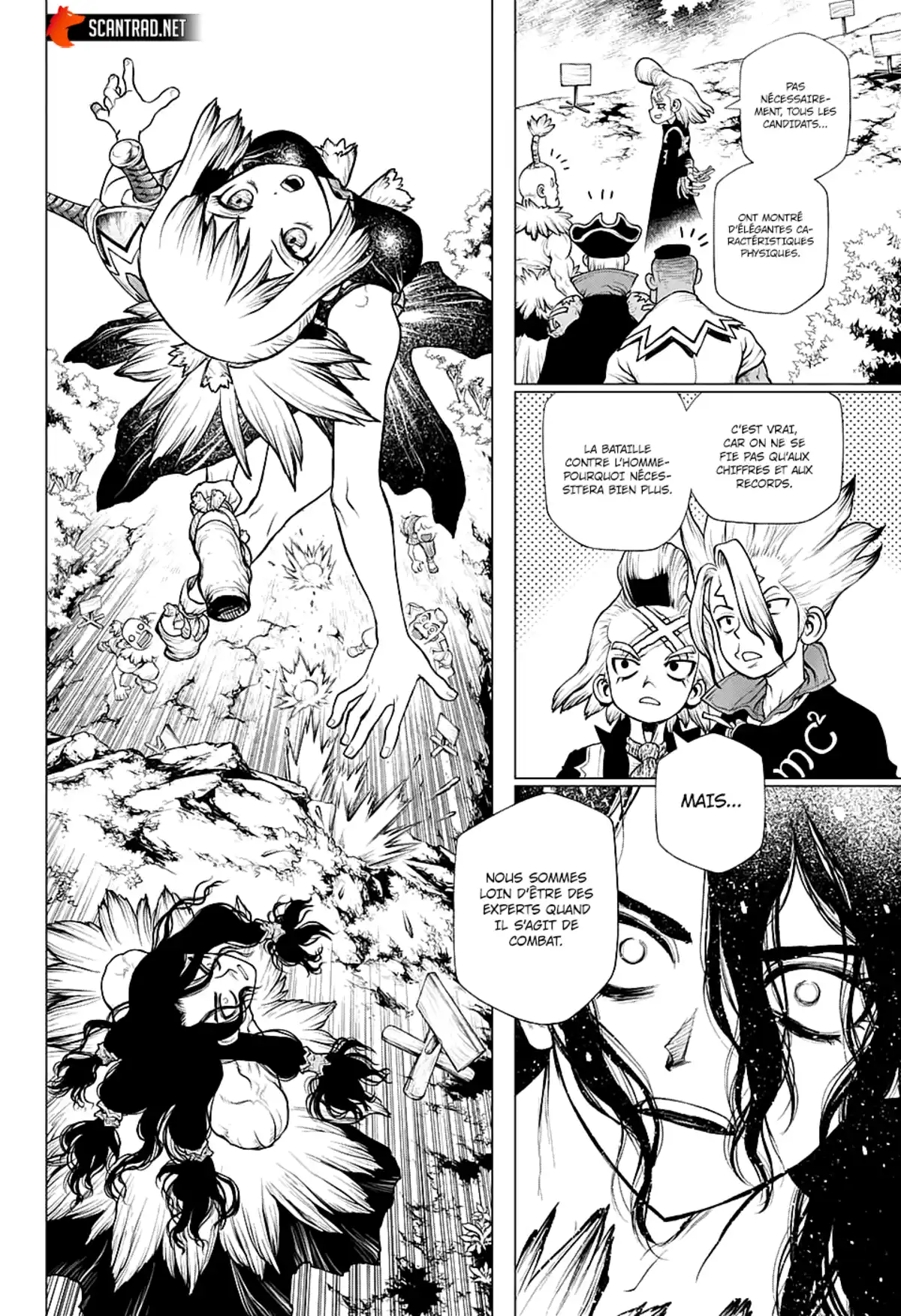 Dr. STONE Chapitre 219 page 12