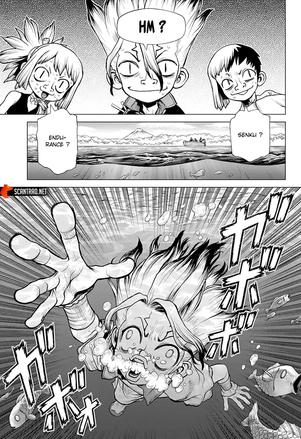 Dr. STONE Chapitre 219 page 5