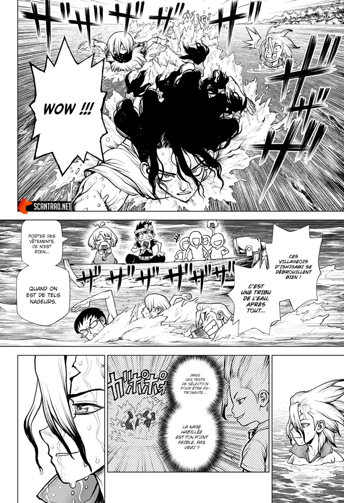 Dr. STONE Chapitre 219 page 8