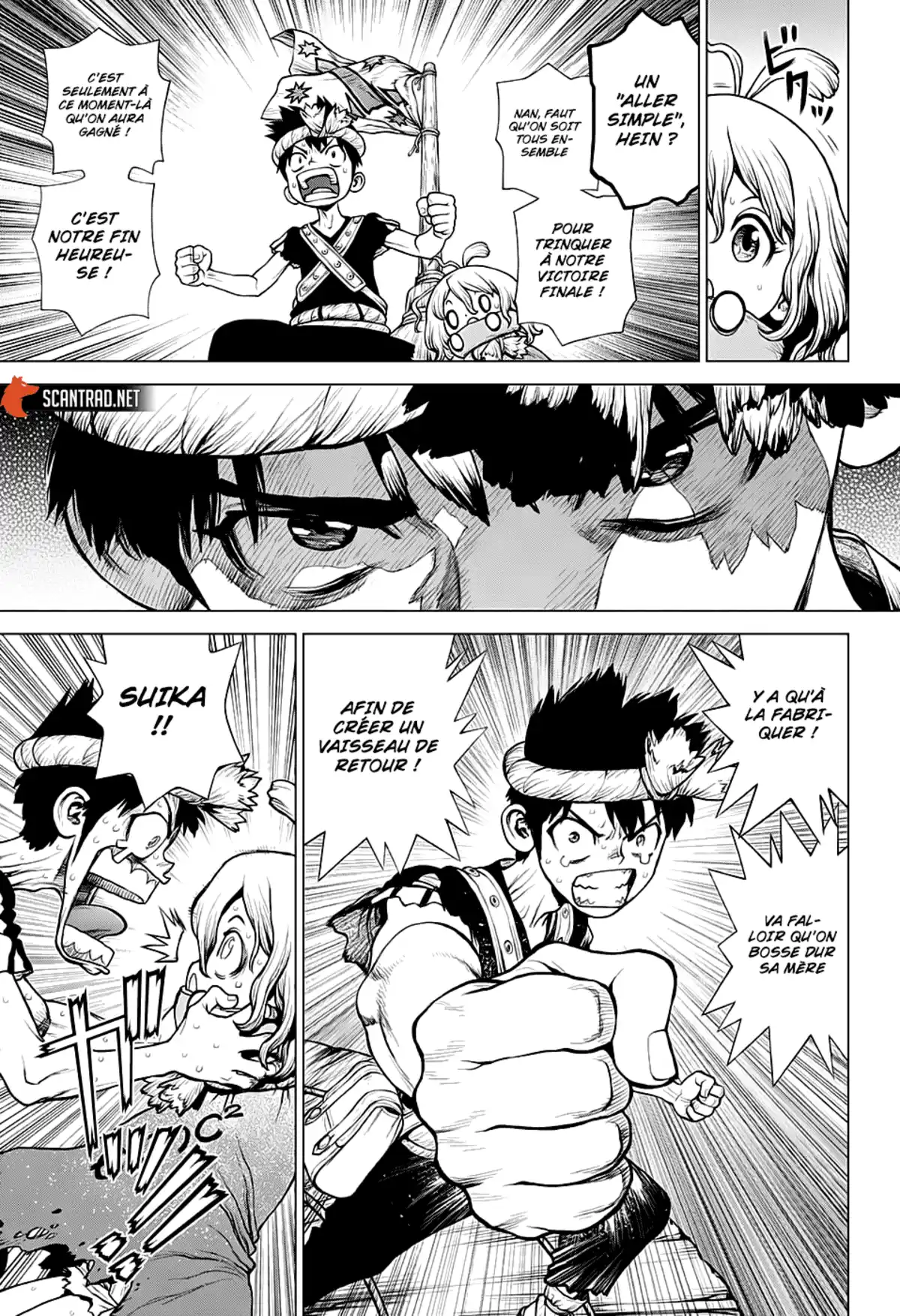 Dr. STONE Chapitre 210 page 12