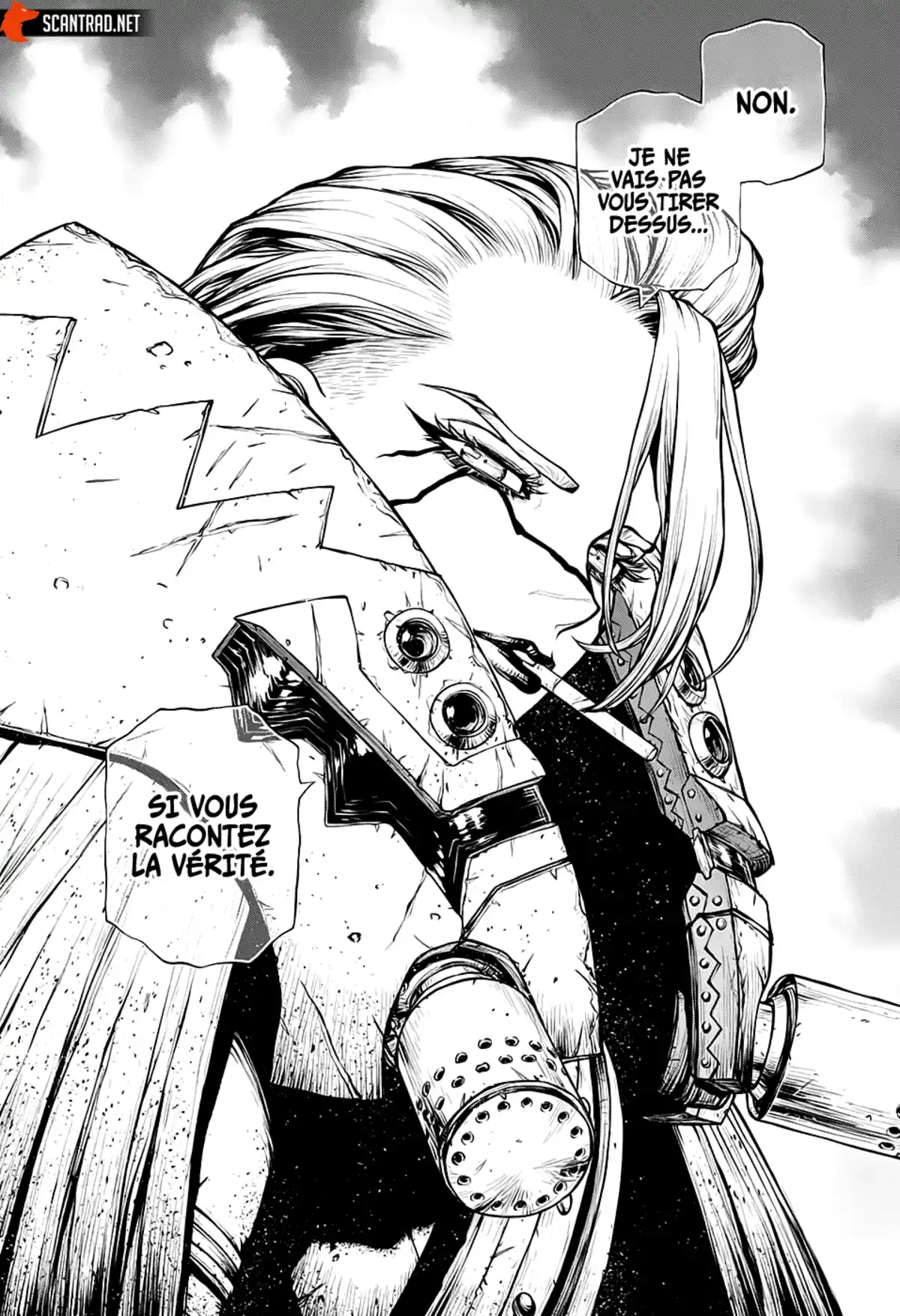 Dr. STONE Chapitre 186 page 13