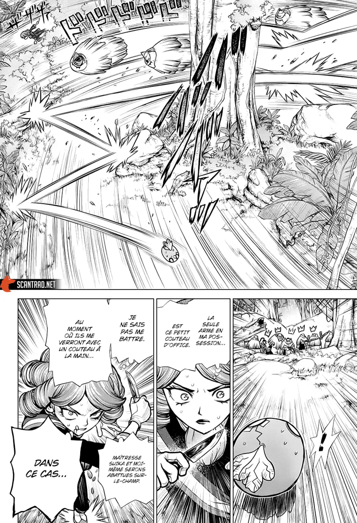 Dr. STONE Chapitre 186 page 4