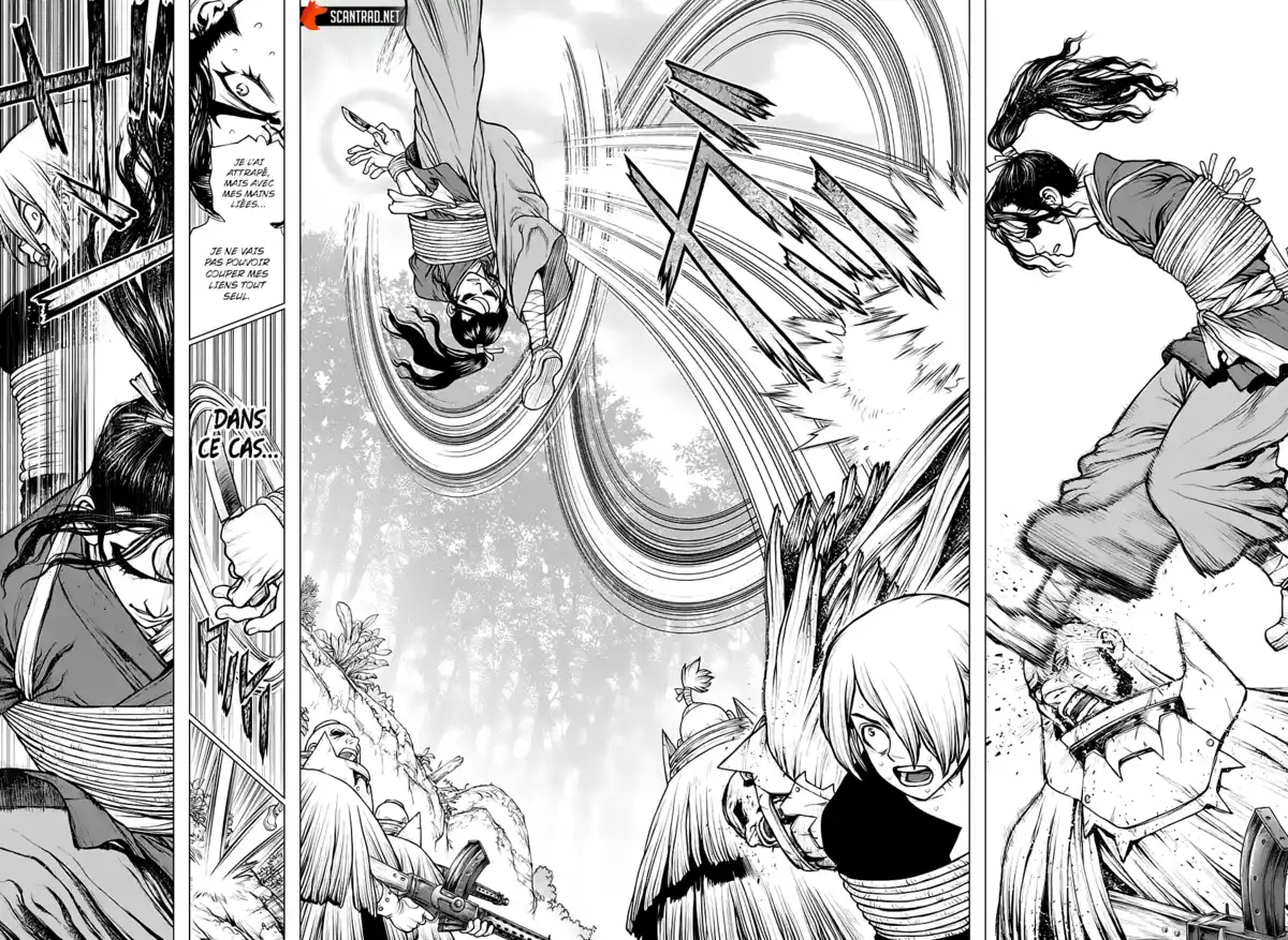 Dr. STONE Chapitre 186 page 6