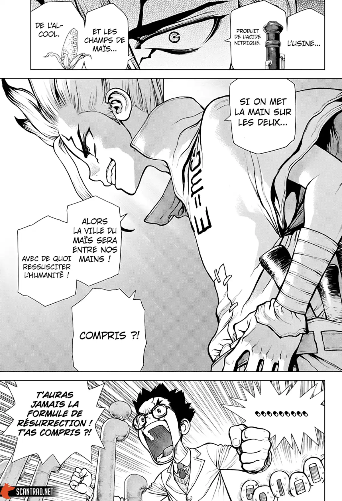 Dr. STONE Volume 18 page 15