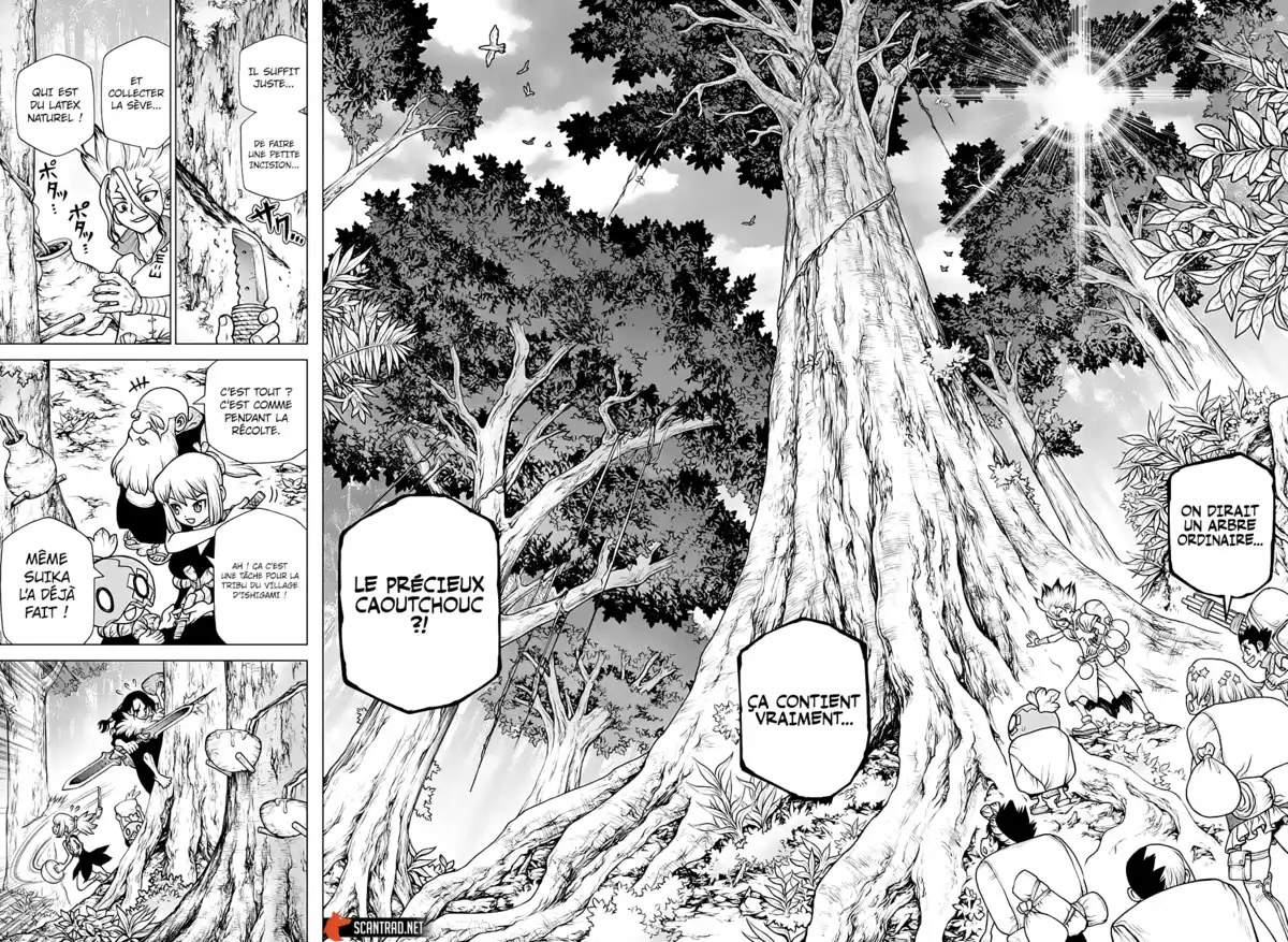 Dr. STONE Volume 20 page 83