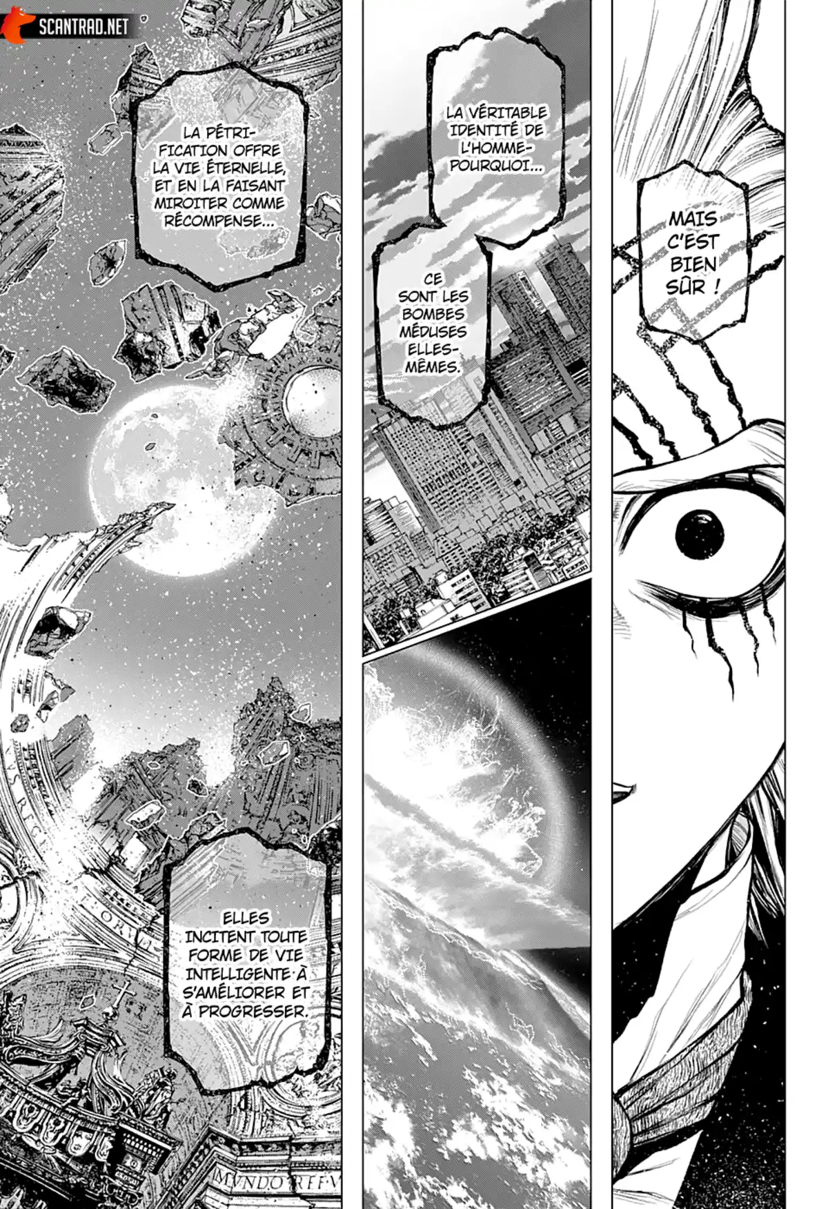 Dr. STONE Chapitre 228 page 15