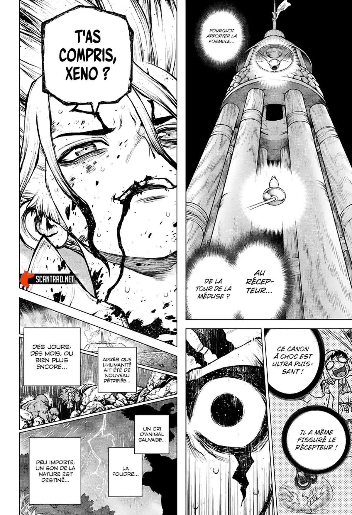 Dr. STONE Chapitre 192 page 13