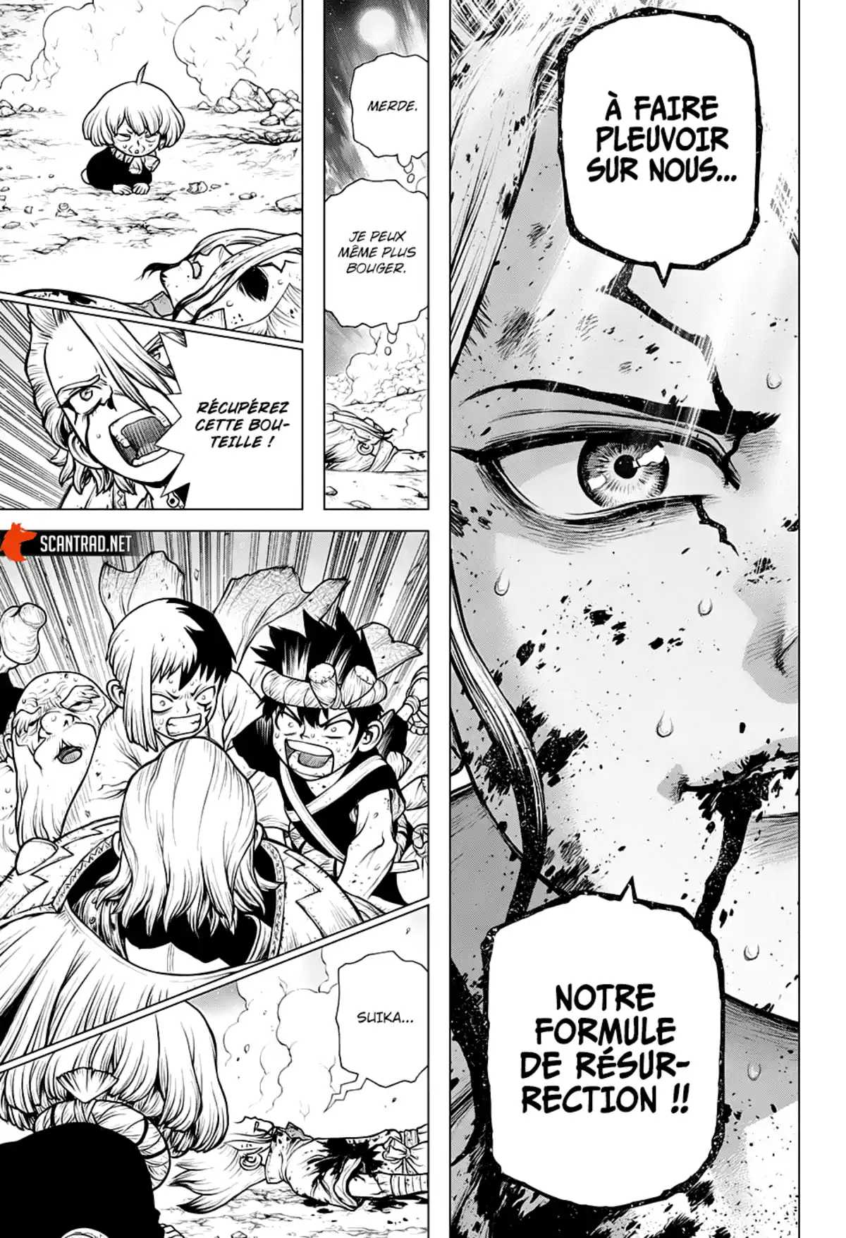 Dr. STONE Chapitre 192 page 14