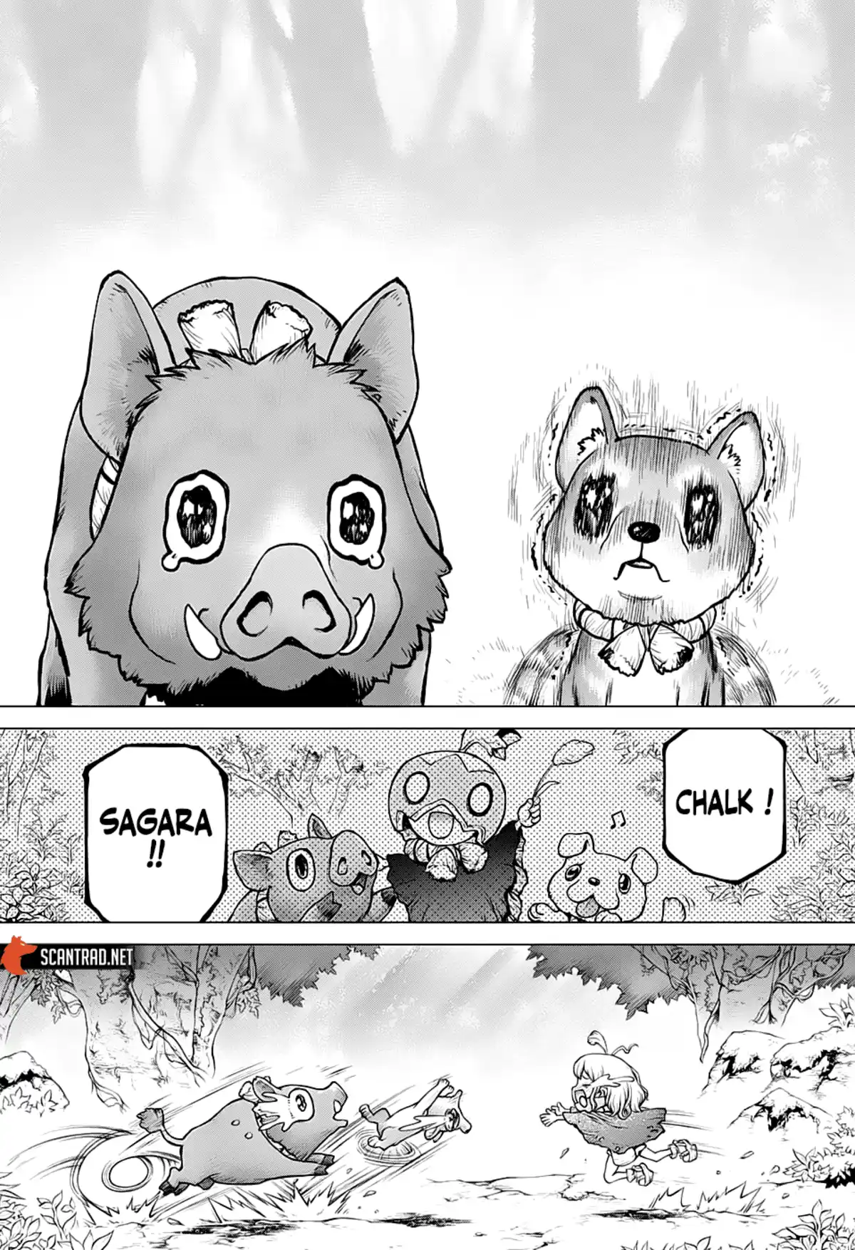 Dr. STONE Chapitre 212 page 10