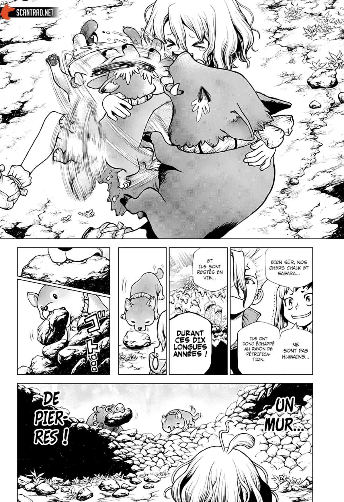 Dr. STONE Chapitre 212 page 11