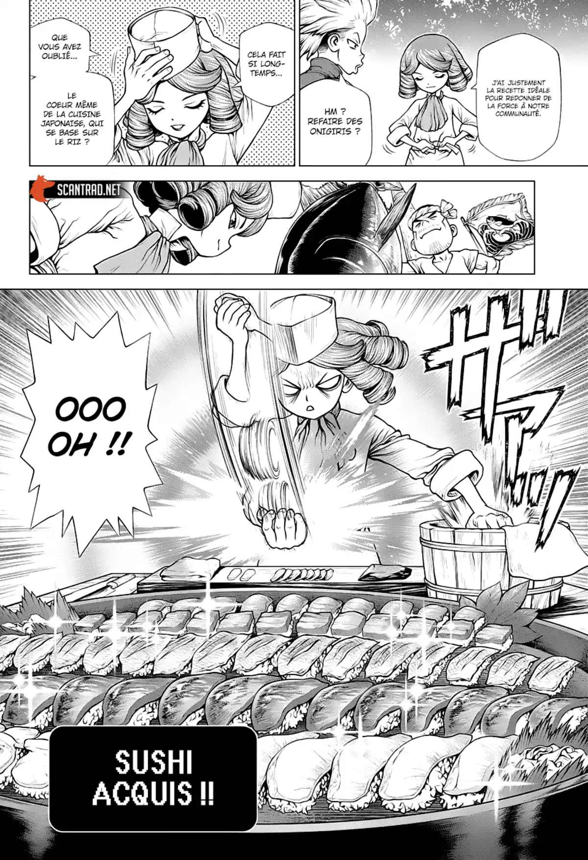 Dr. STONE Chapitre 212 page 14