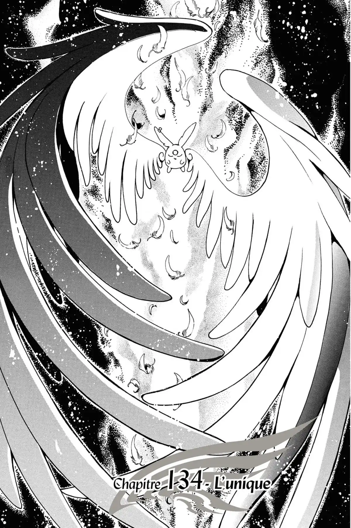 Tsubasa RESERVoir CHRoNiCLE Volume 18 page 29