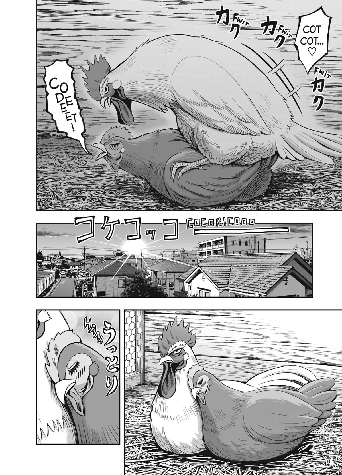 Coq de Baston Volume 1 page 10