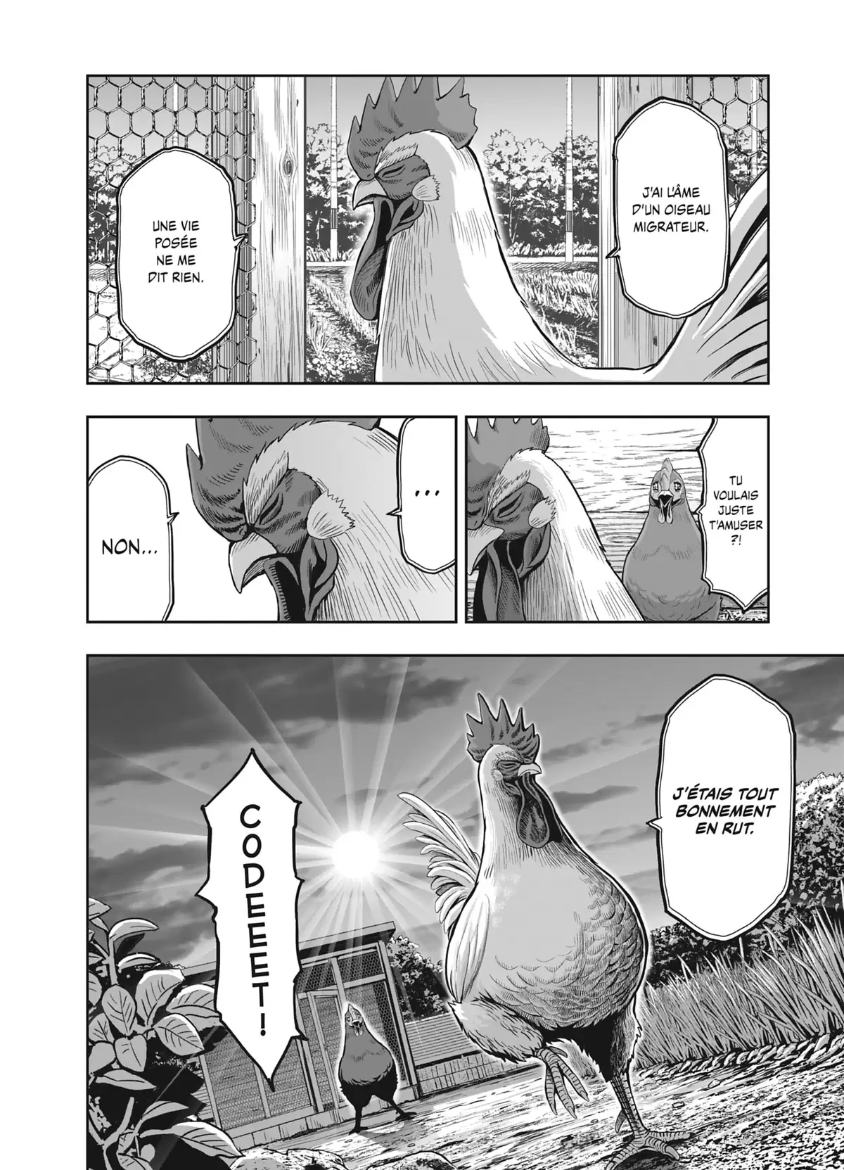 Coq de Baston Volume 1 page 12