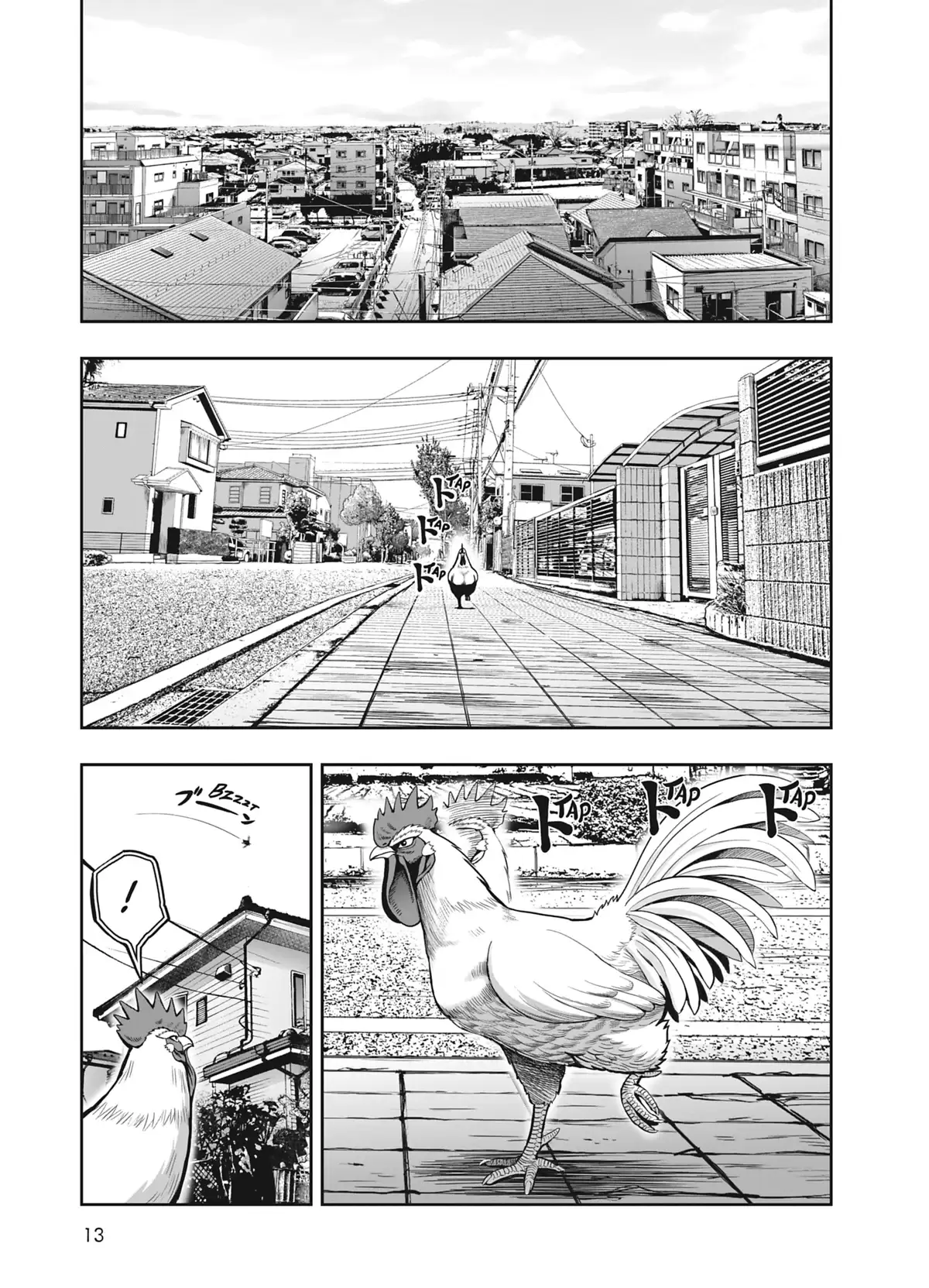 Coq de Baston Volume 1 page 13