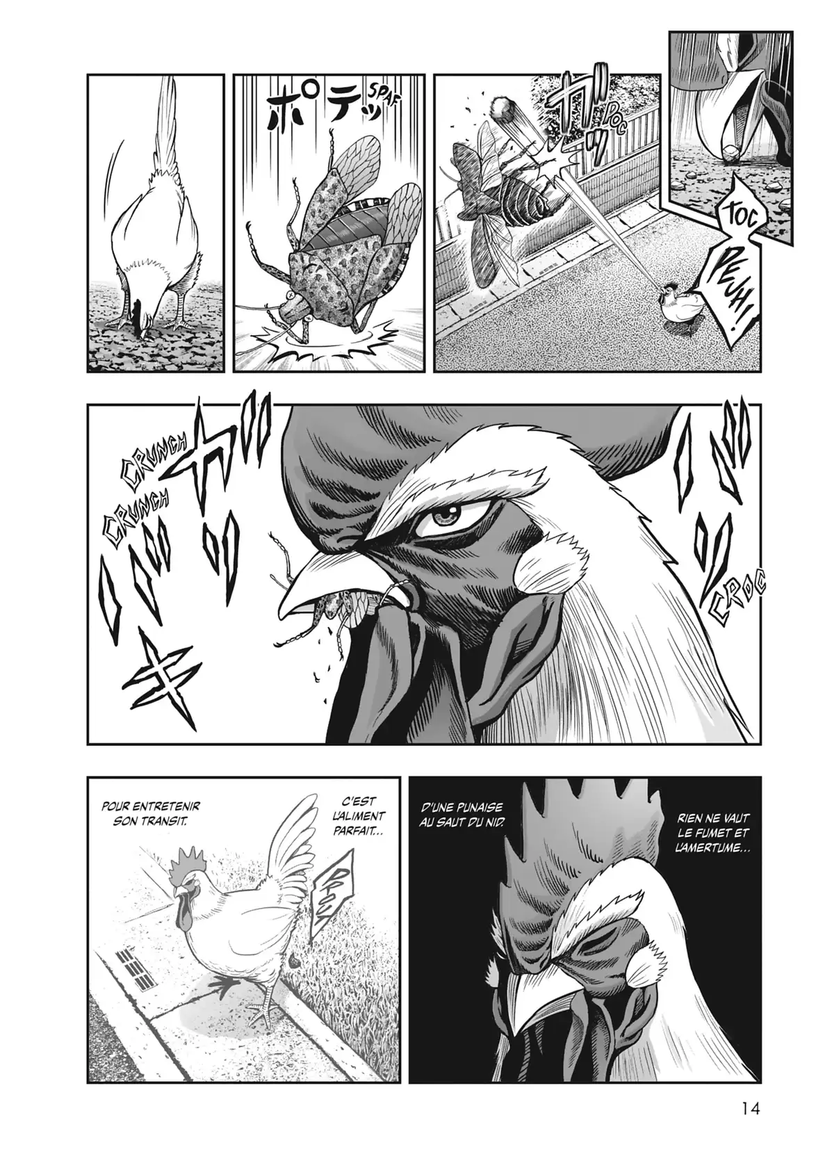 Coq de Baston Volume 1 page 14