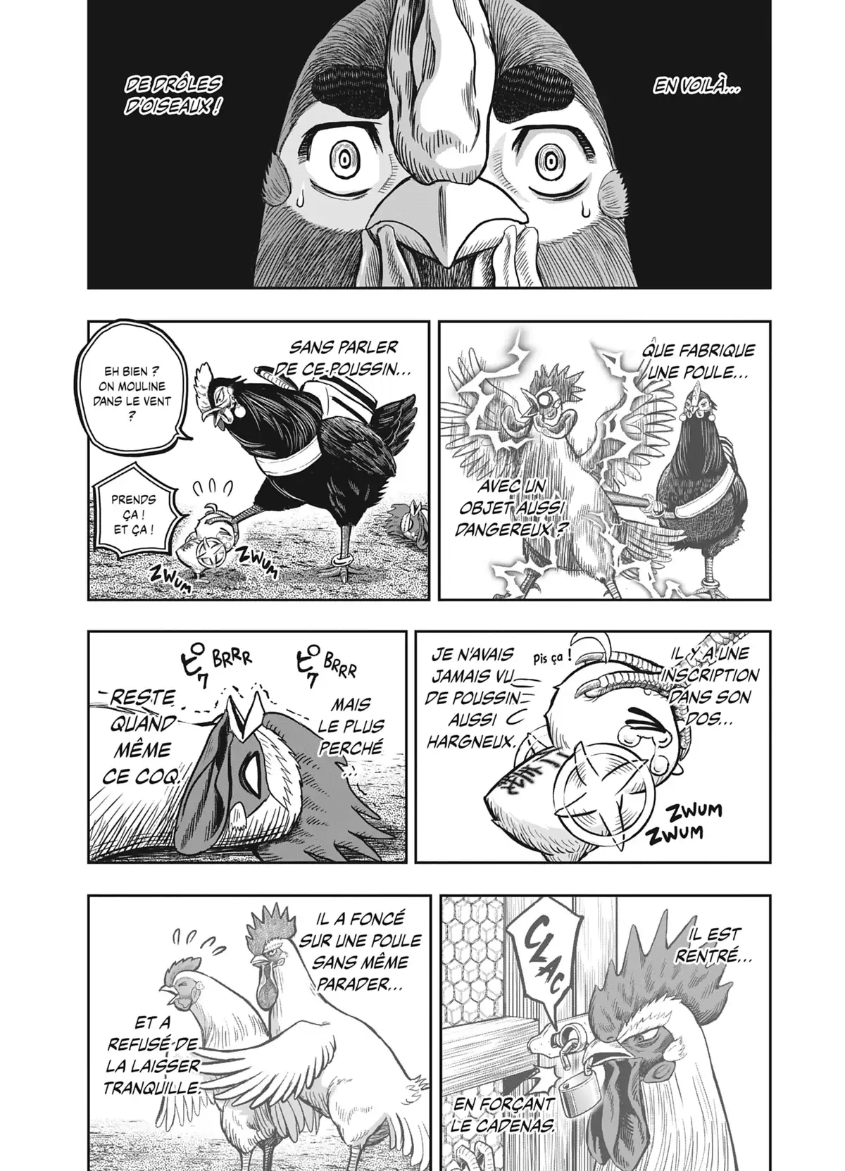 Coq de Baston Volume 3 page 13