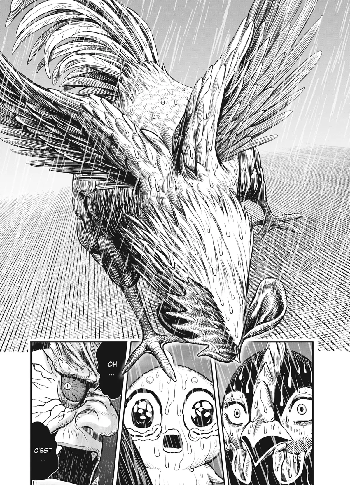 Coq de Baston Volume 3 page 154