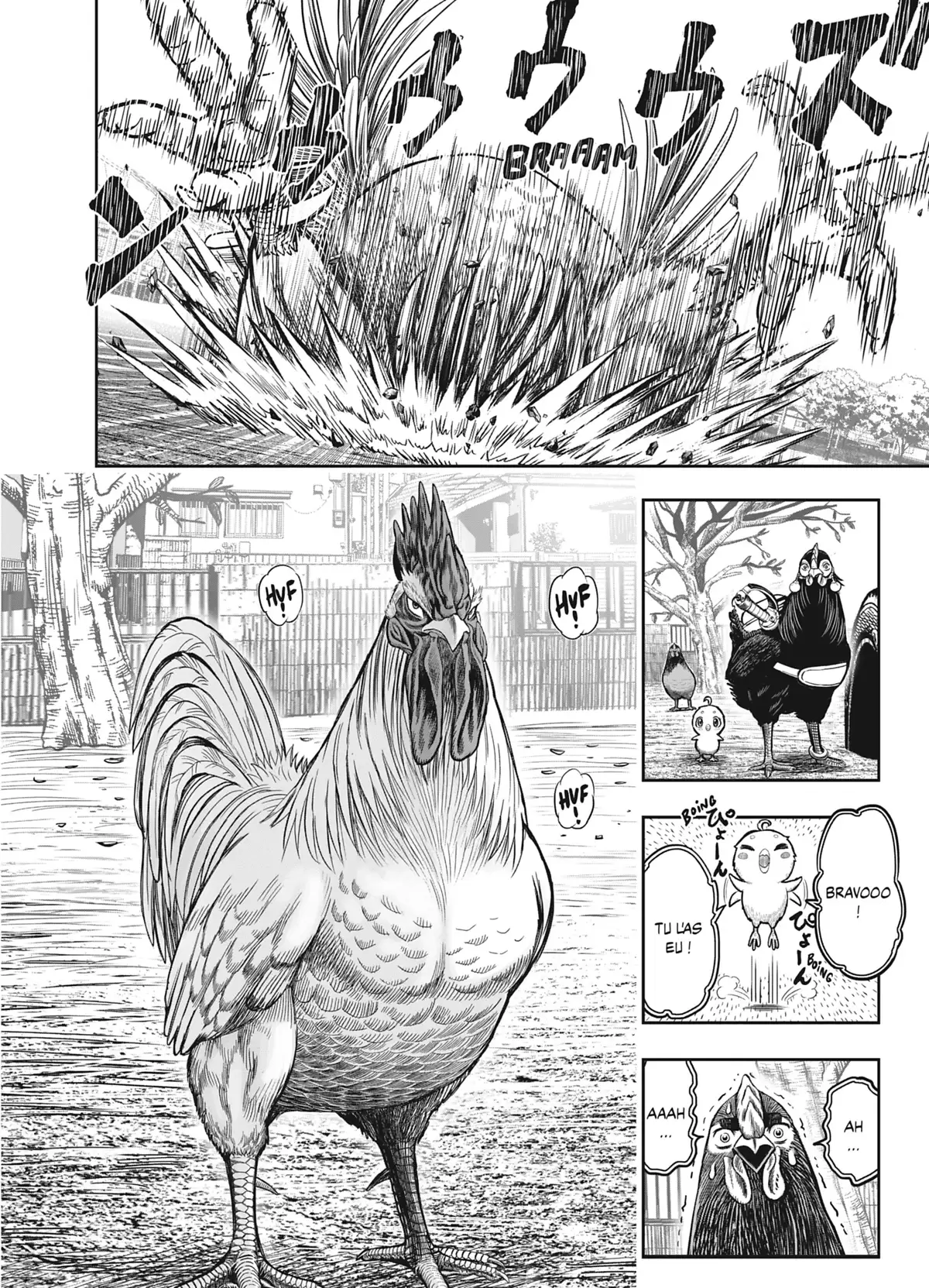 Coq de Baston Volume 3 page 47