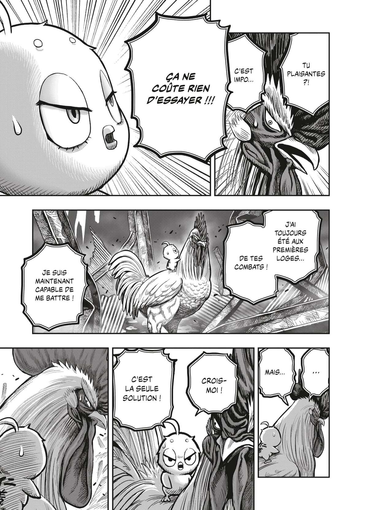 Coq de Baston Volume 5 page 104