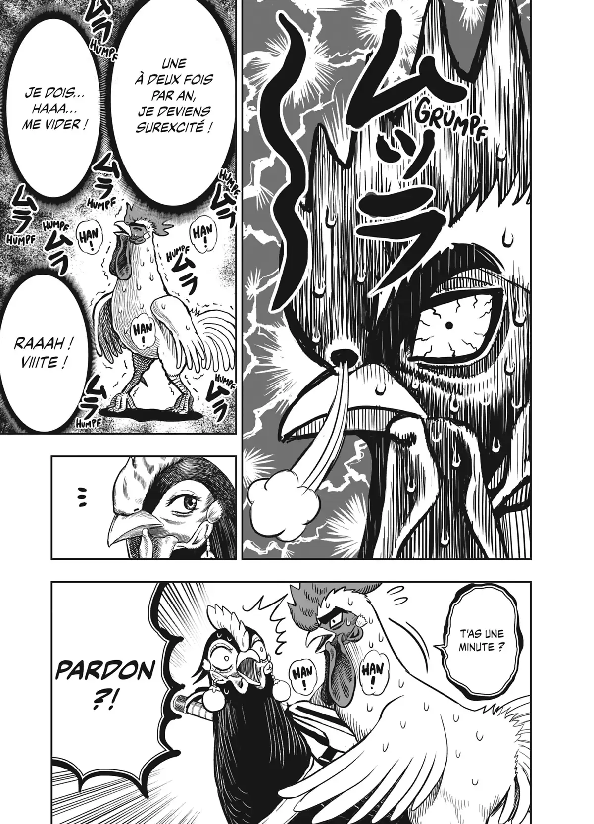 Coq de Baston Volume 2 page 139