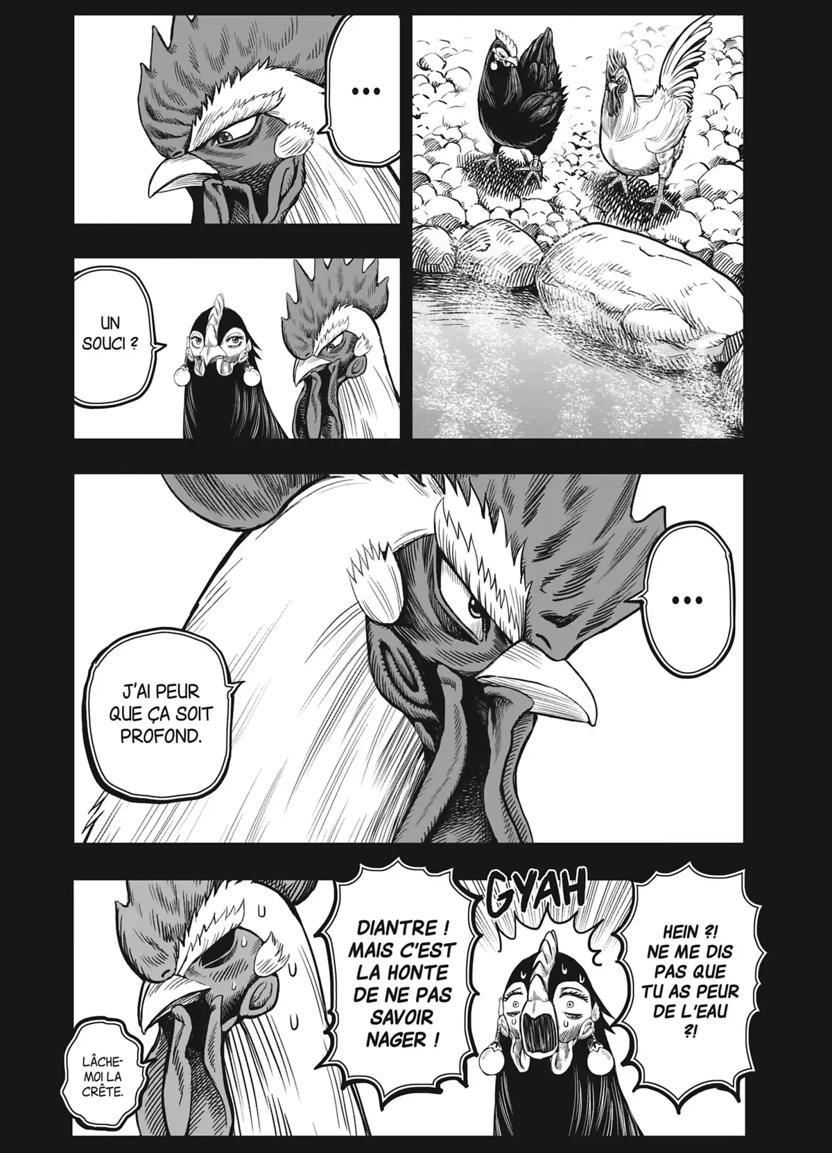 Coq de Baston Volume 2 page 95
