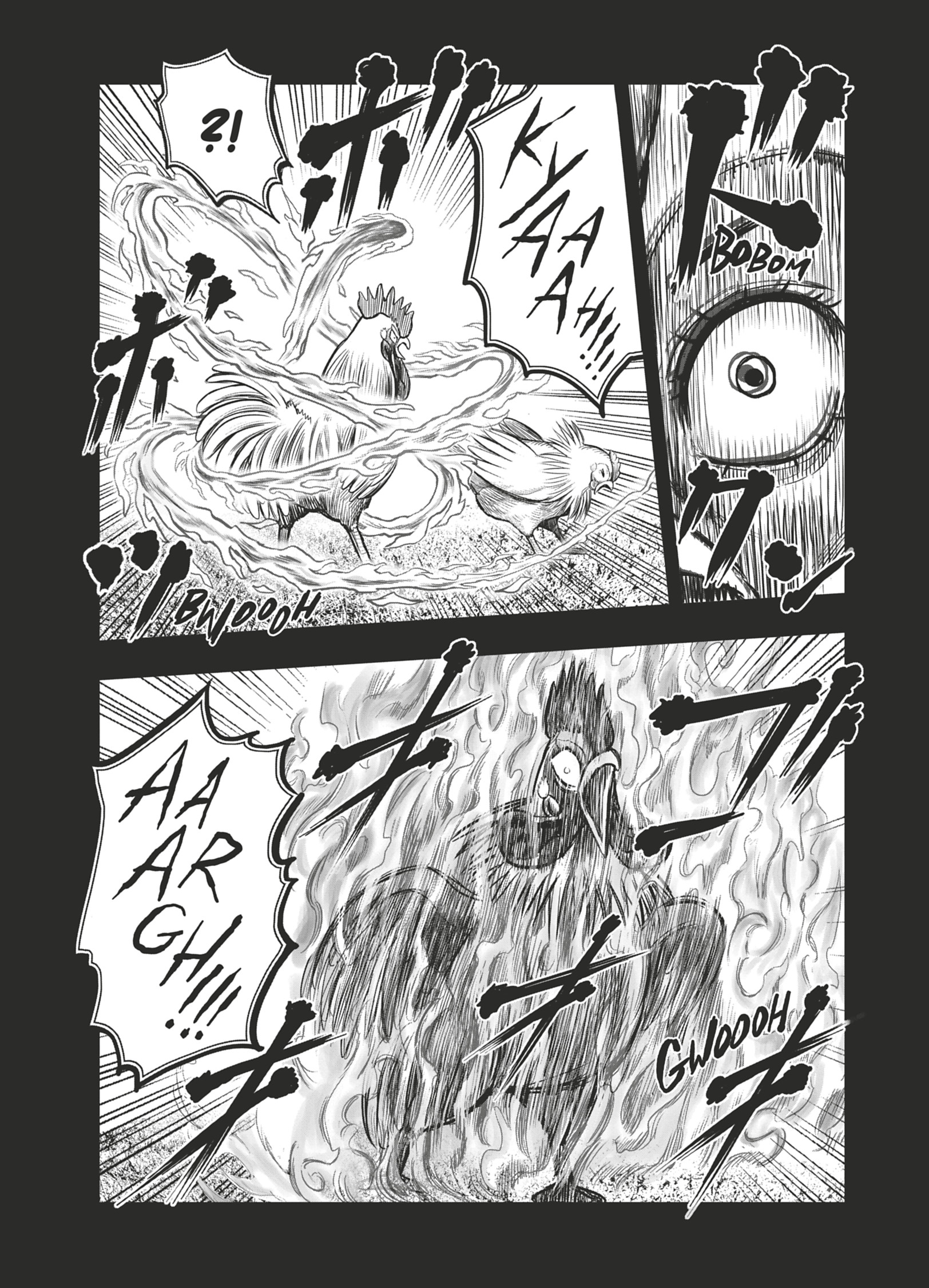 Coq de Baston Volume 4 page 33