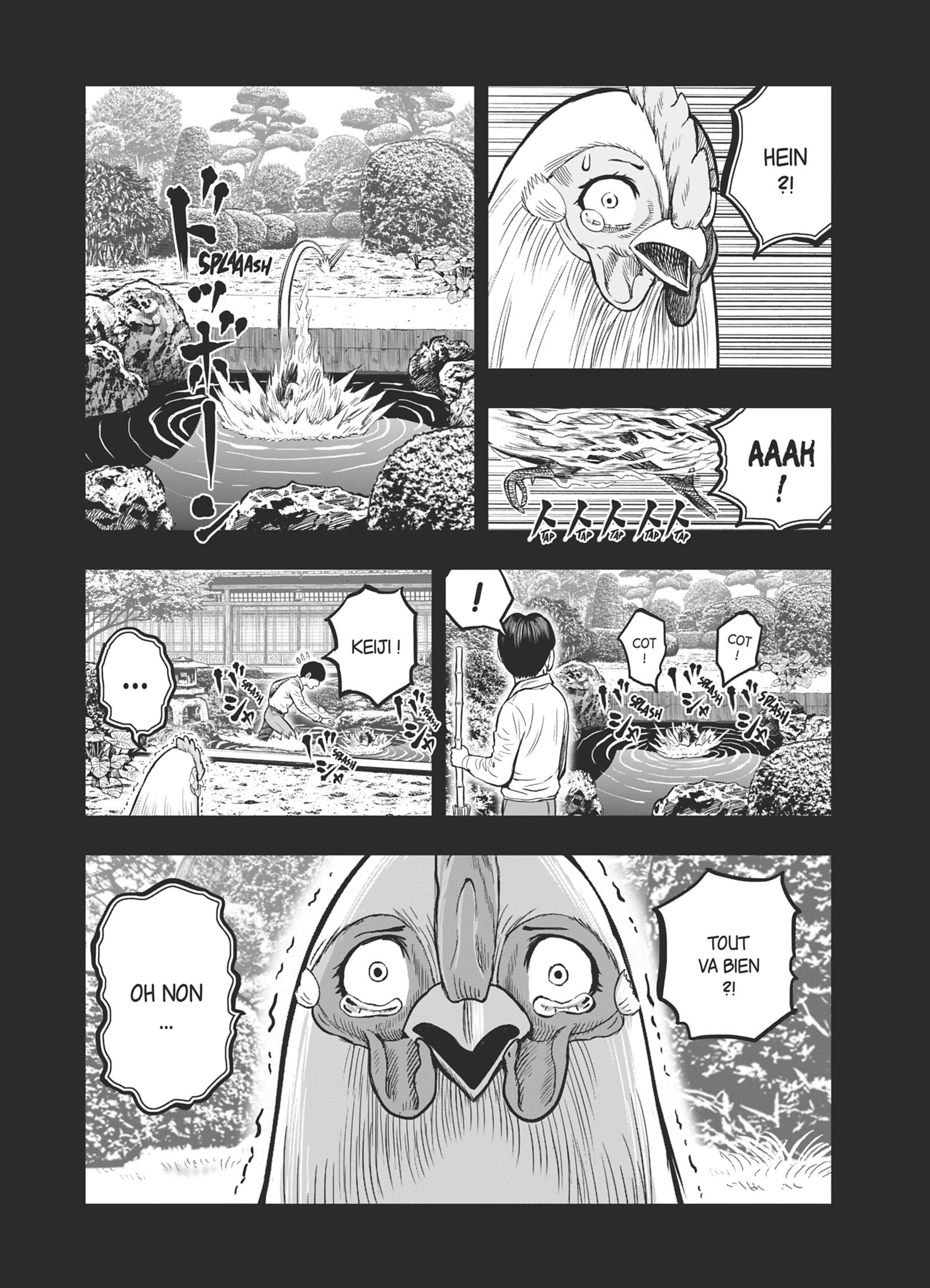 Coq de Baston Volume 4 page 34