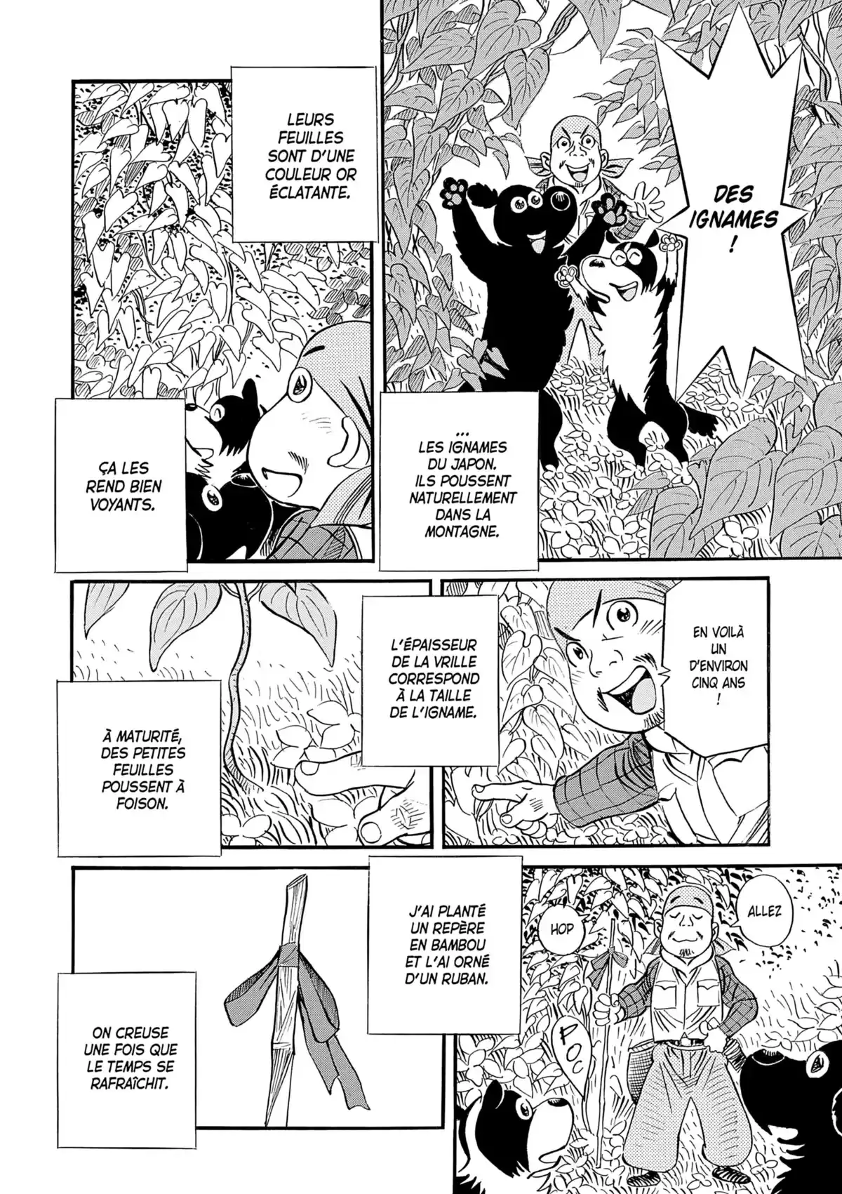 Ma vie dans les bois Volume 6 page 4