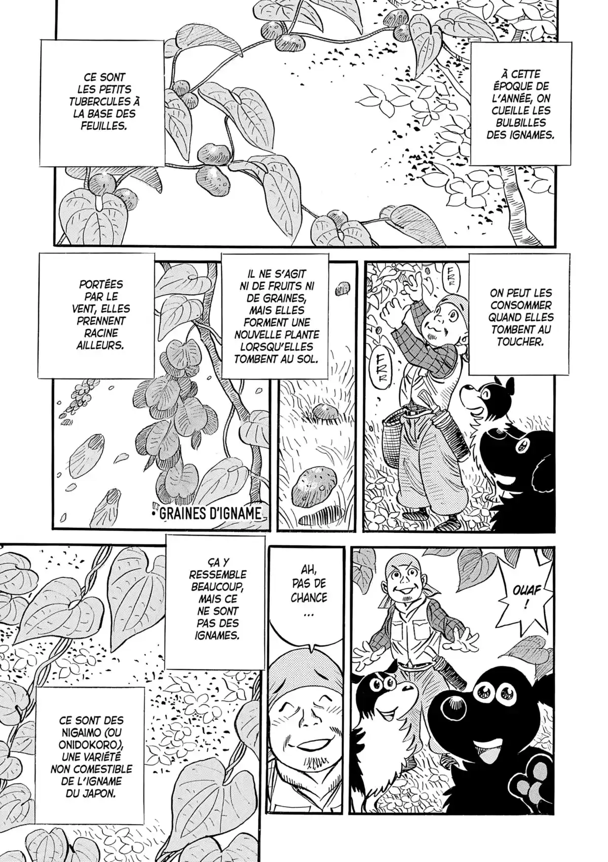 Ma vie dans les bois Volume 6 page 5