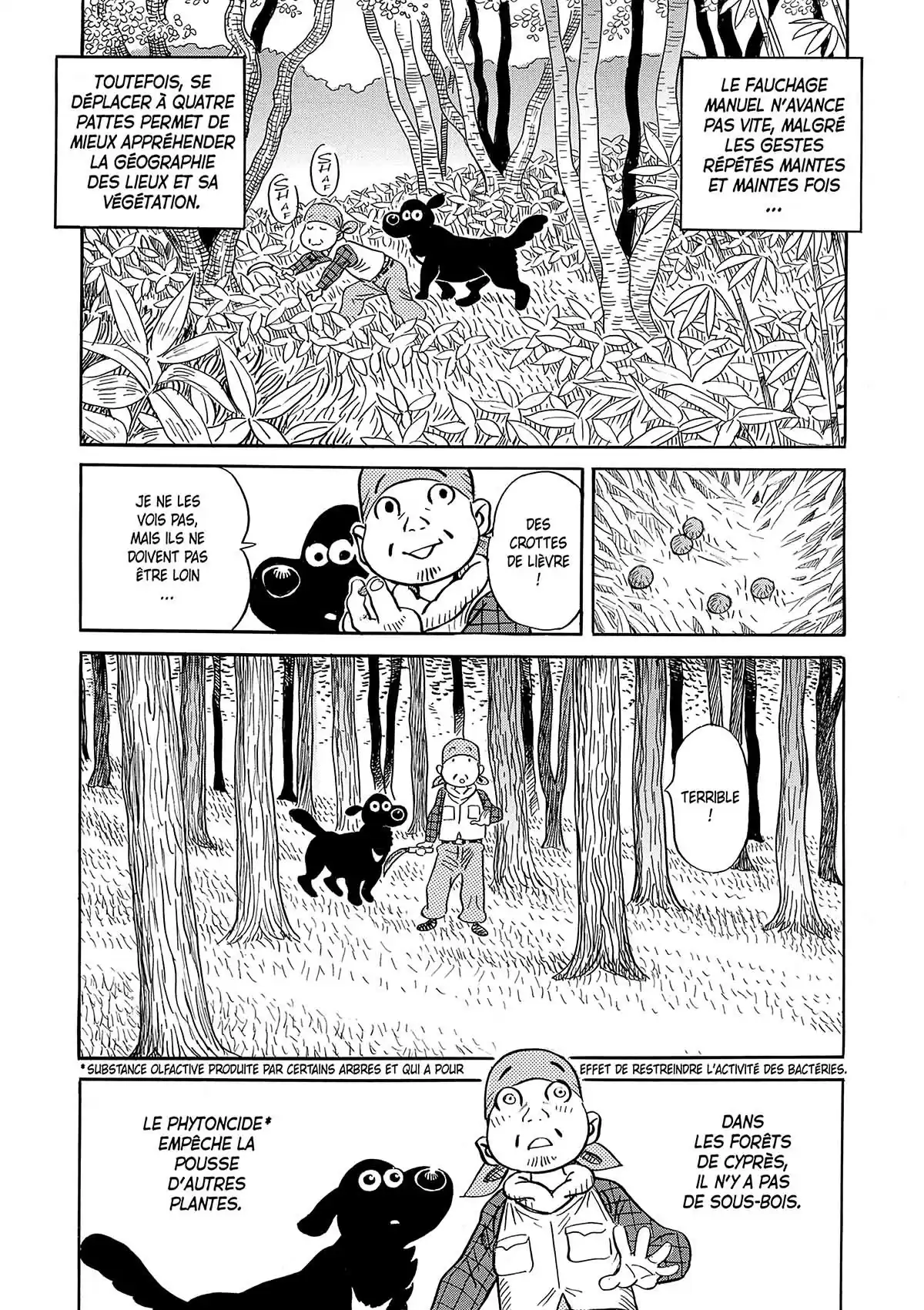 Ma vie dans les bois Volume 1 page 37